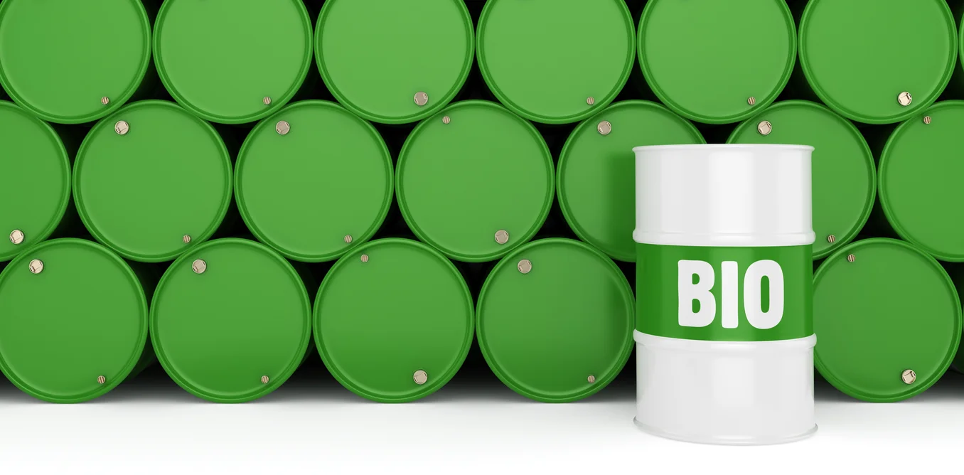 The seven strangest sources of biofuel