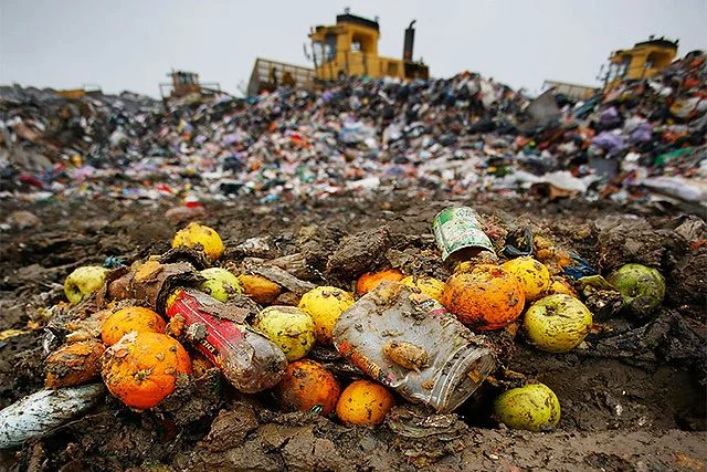 It all ADs up: Food waste and landfill sites 