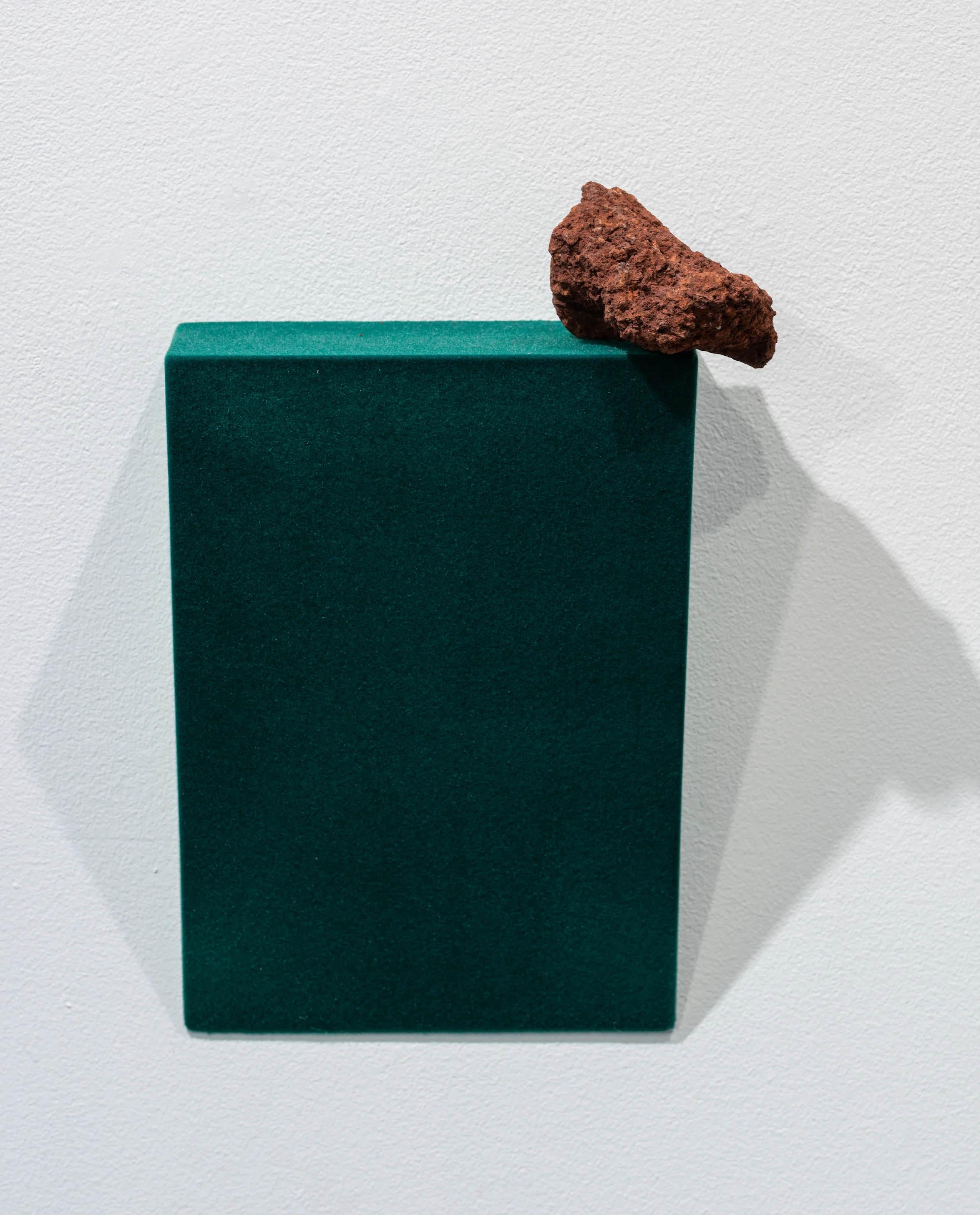 Fertile ground, 2018