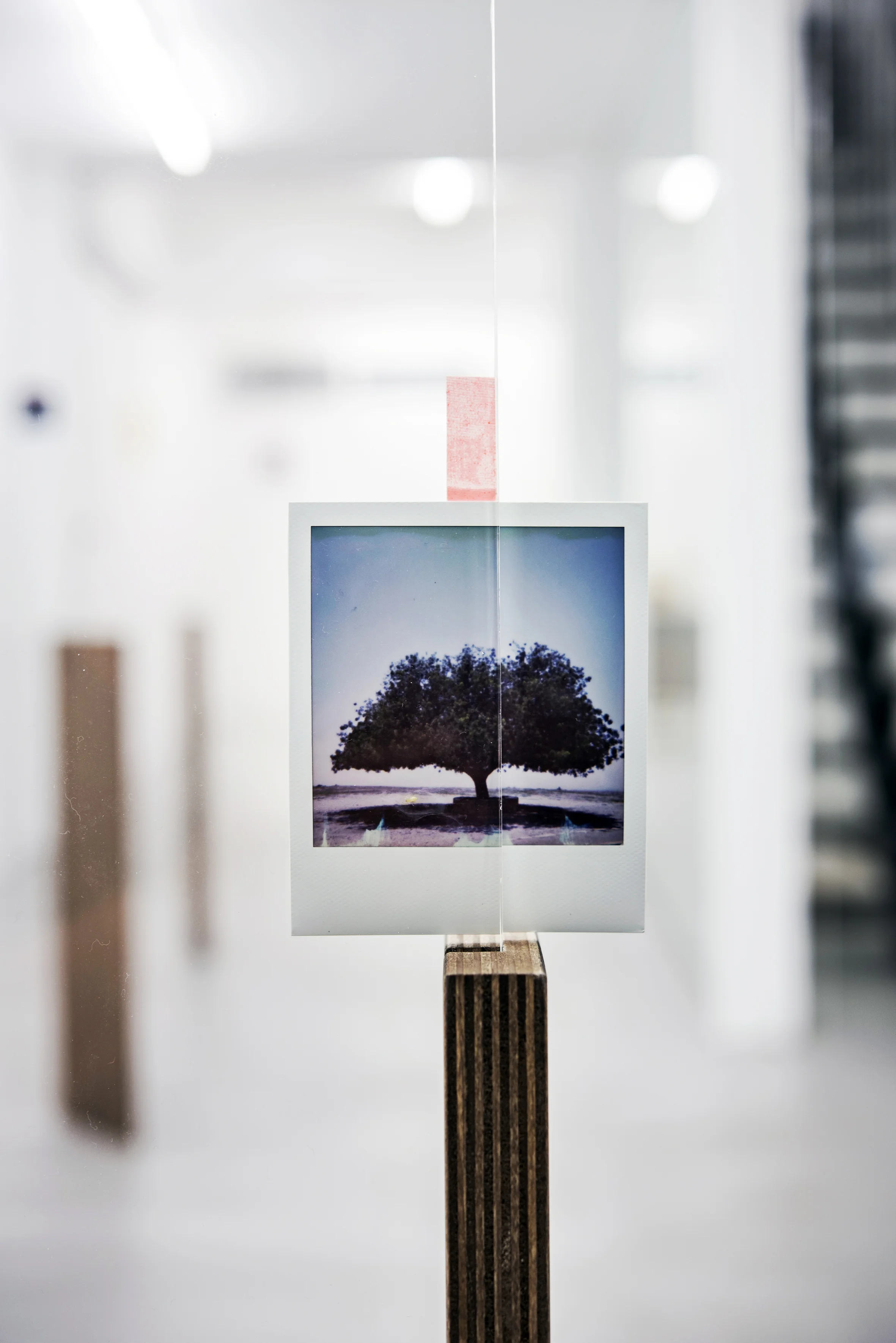 Retain, Reframe II (detail).jpg