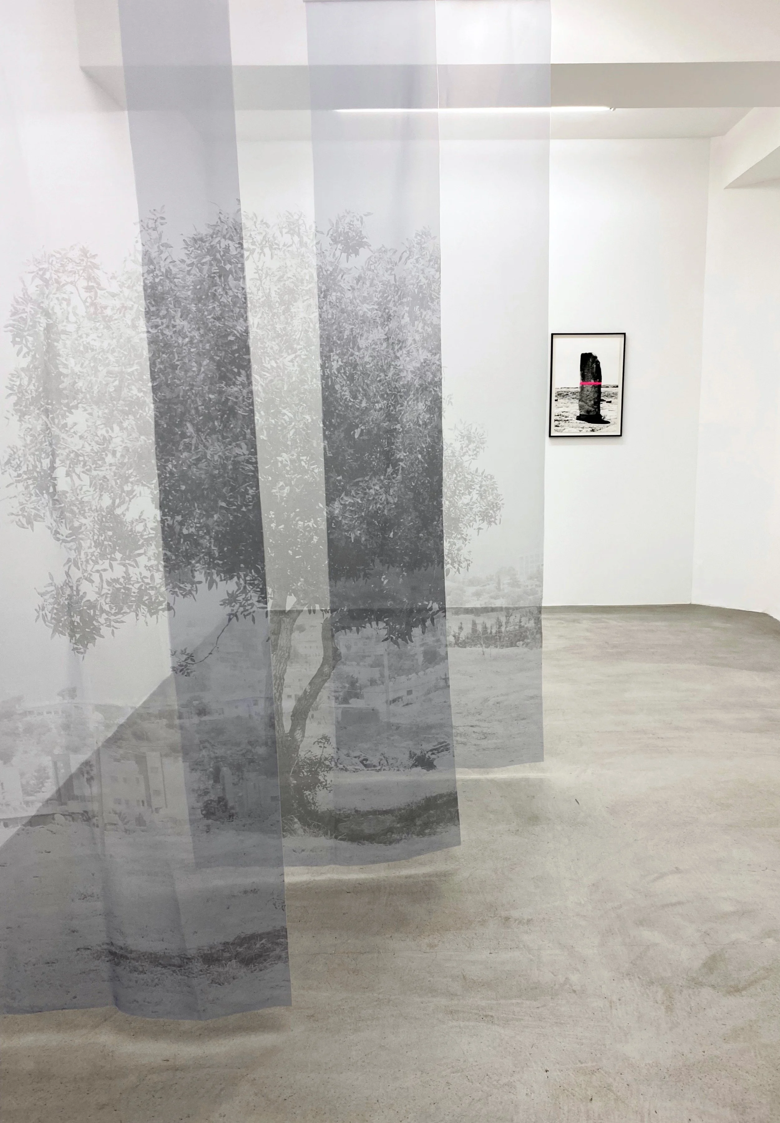 Nature knows only colours, Art Seen