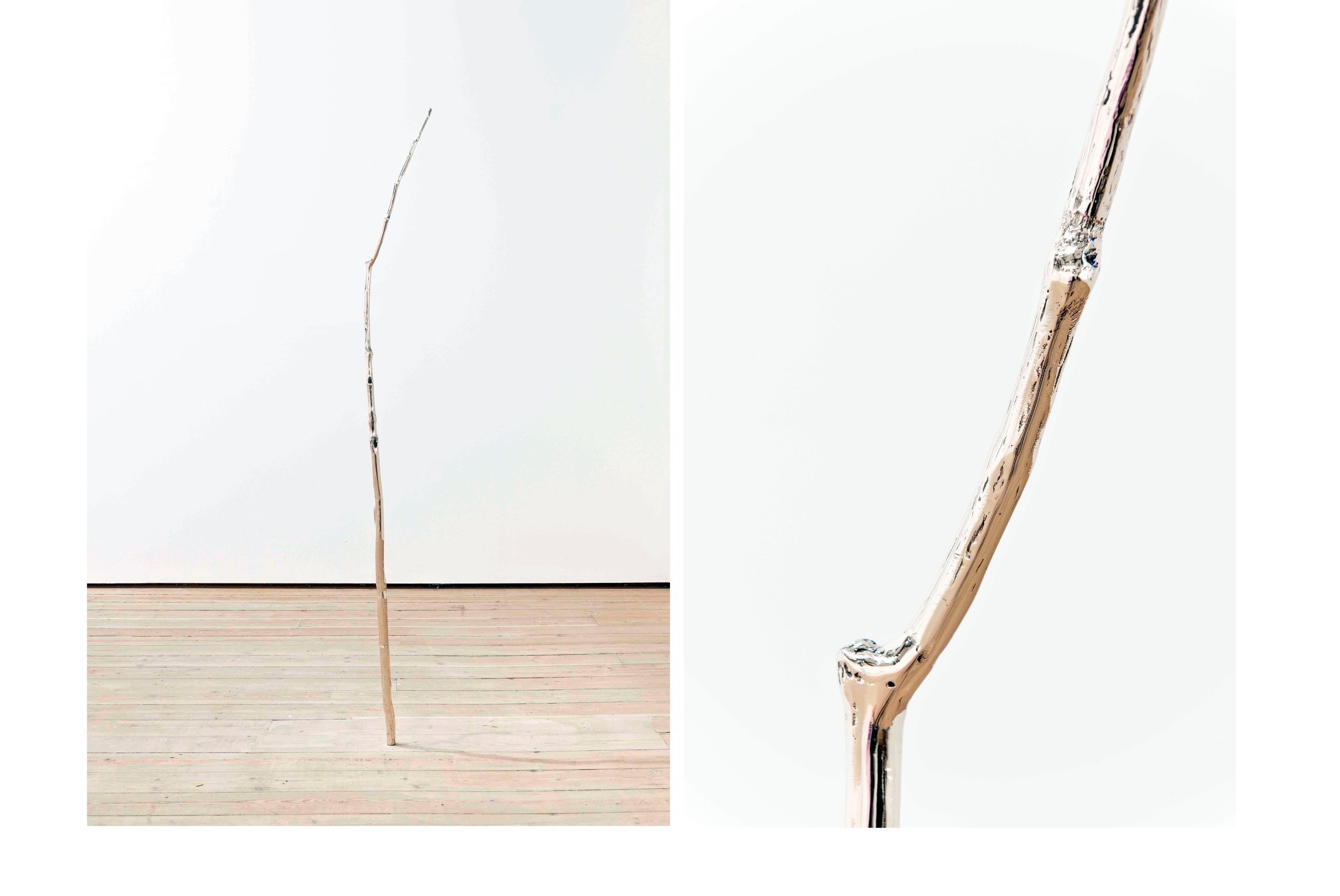 Birch in Space, 2010