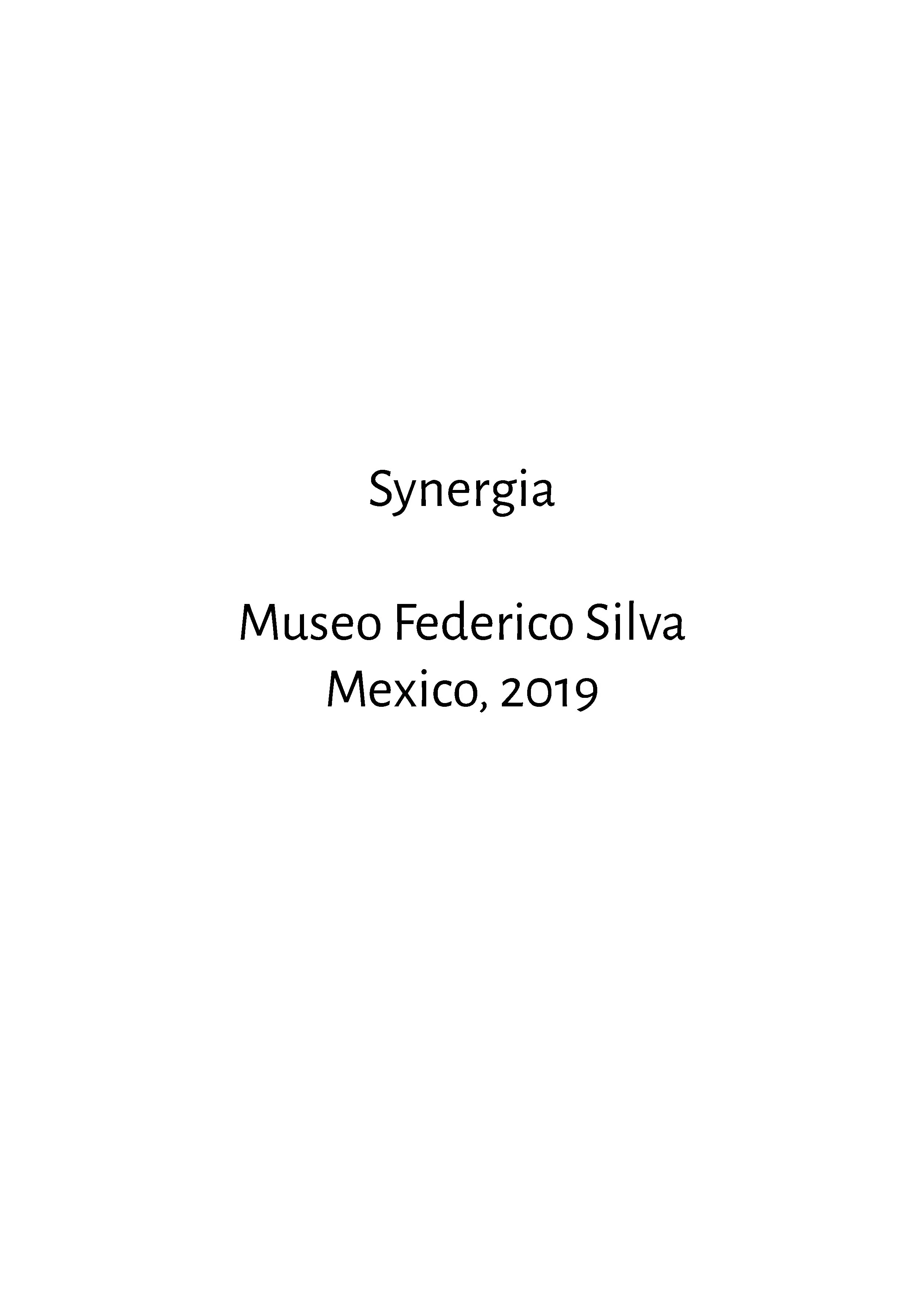synergia4.jpg