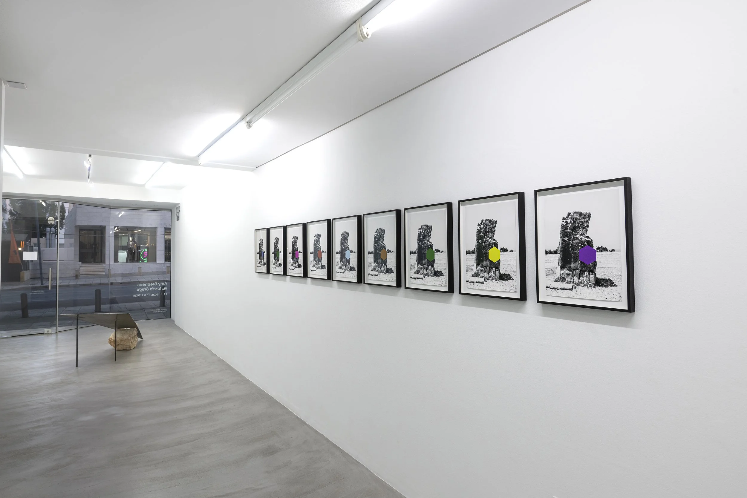 Nature's Stage Installation II, 2025