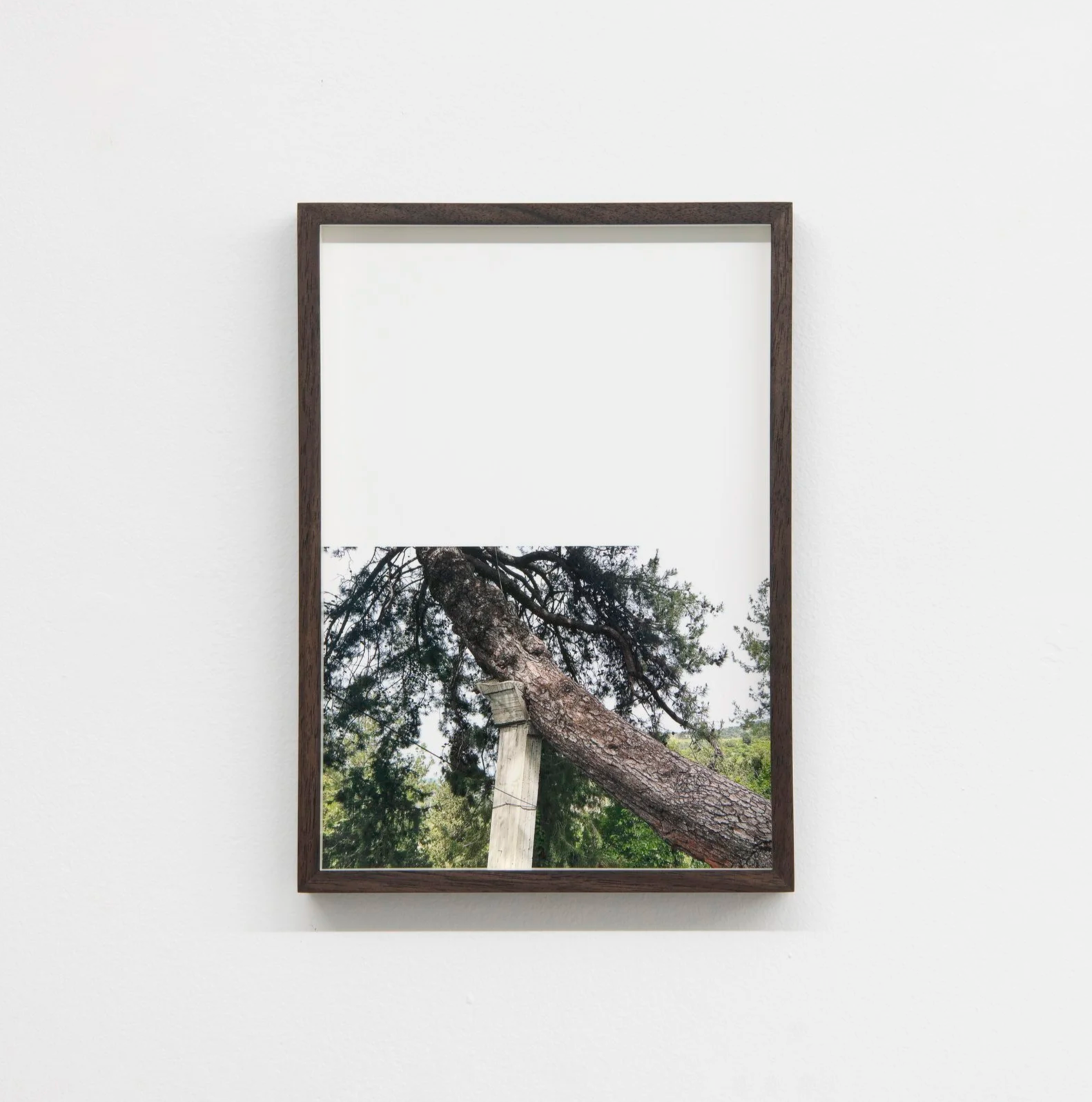 The Path not Taken, 2025