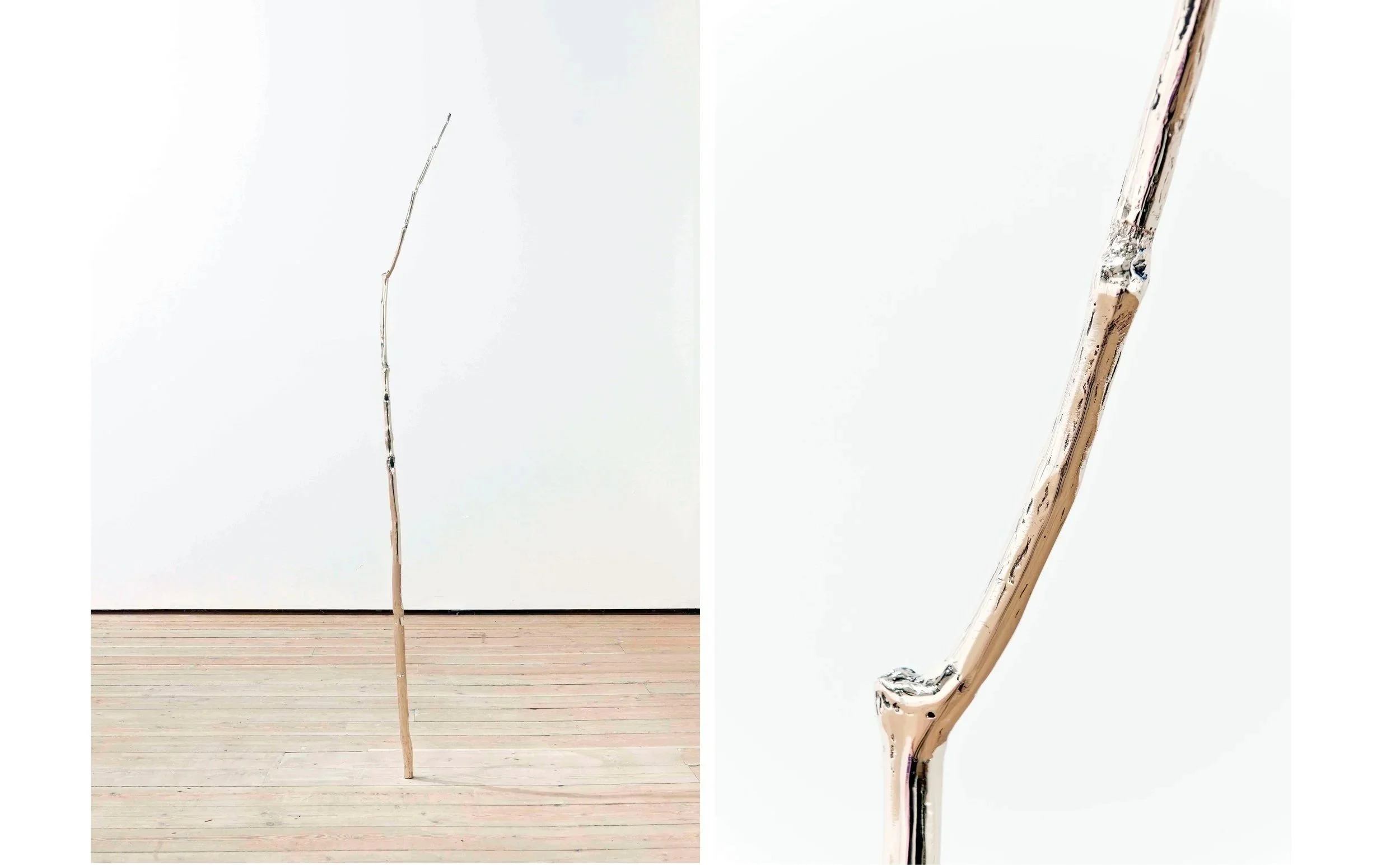 Birch in Space, 2010