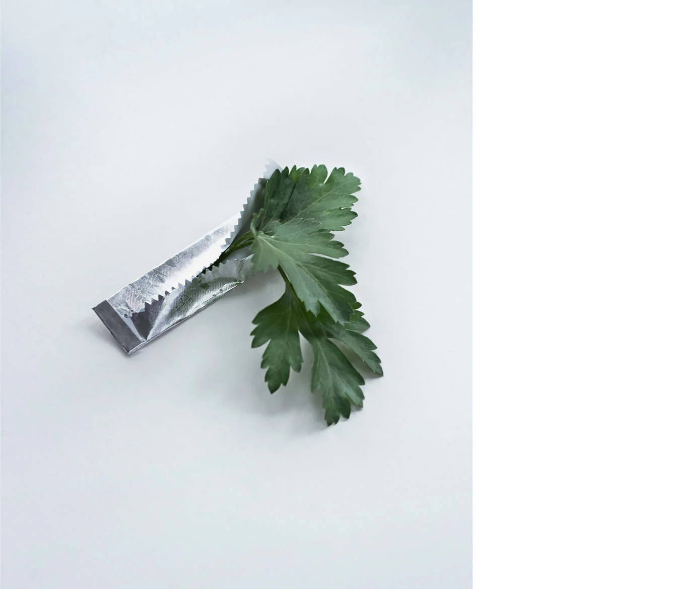 parsley_2_1340_c.jpg