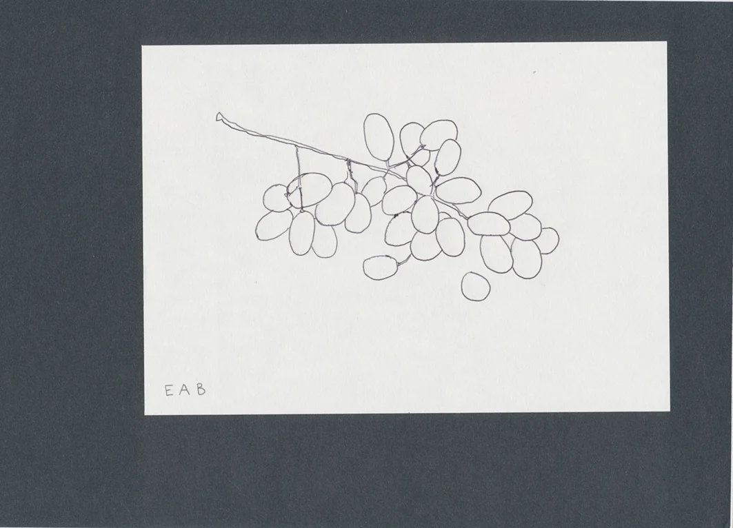 Bukanova_Grapes.jpg