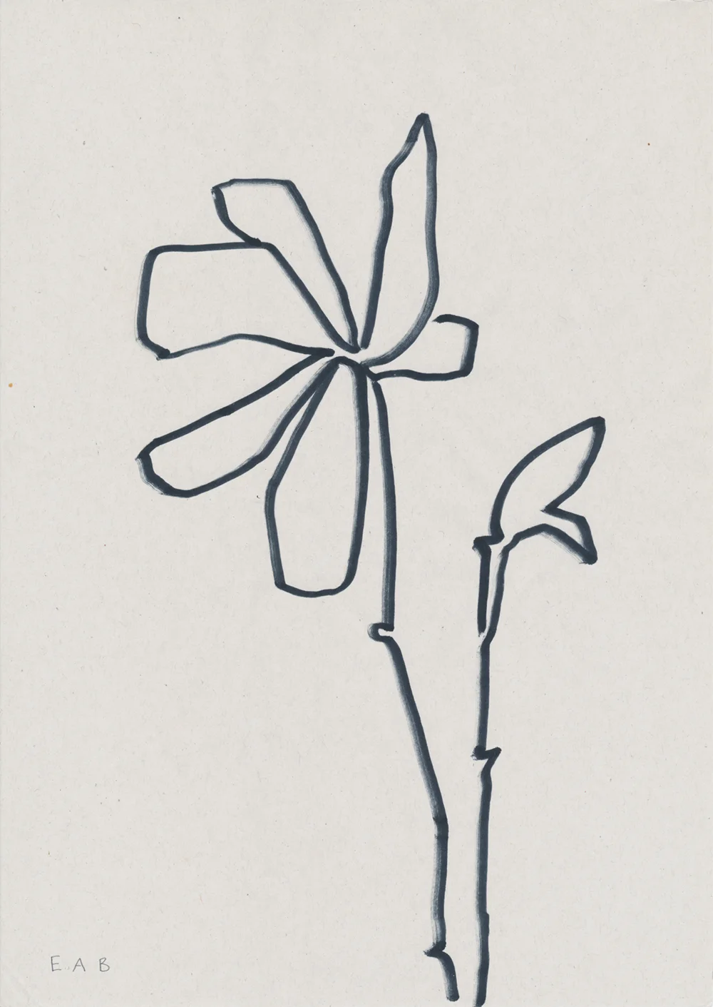 Magnolia.jpg