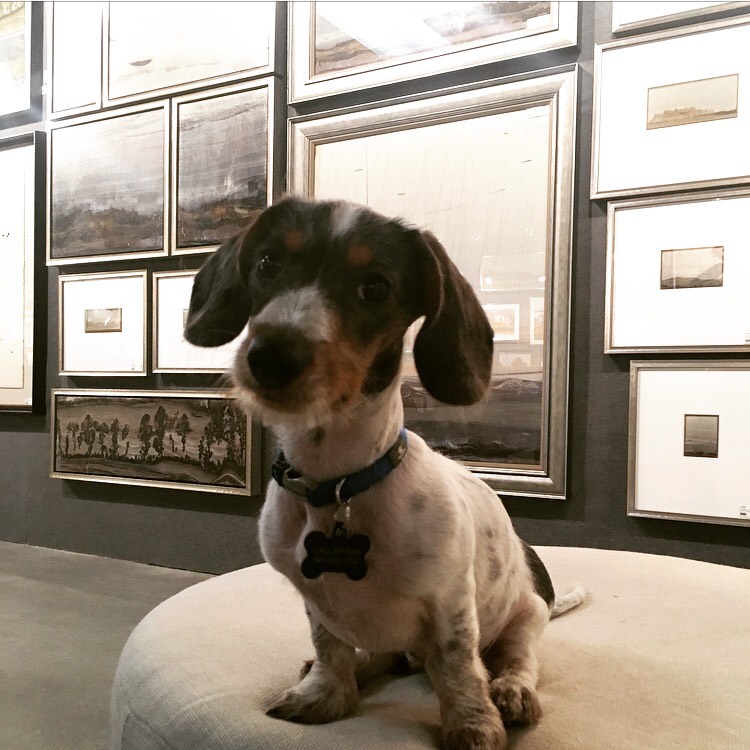 Stew, Ed Marin's dog
