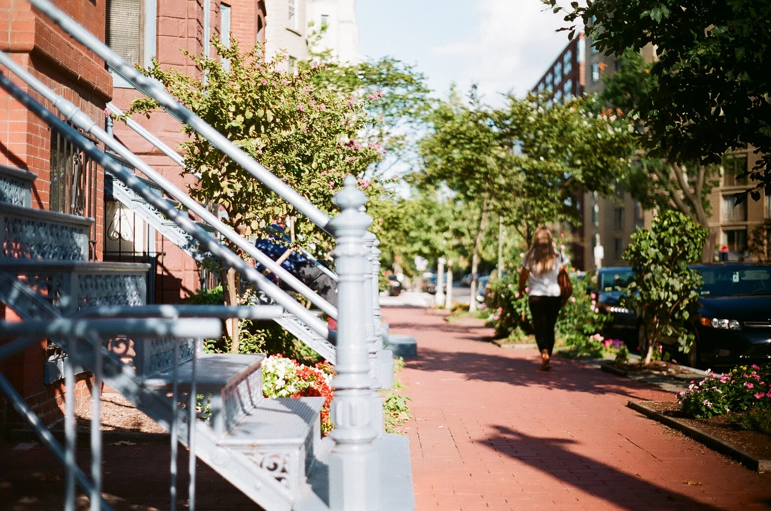 Minolta X-700, shot with Fuji Superia 400 Washington D.C.