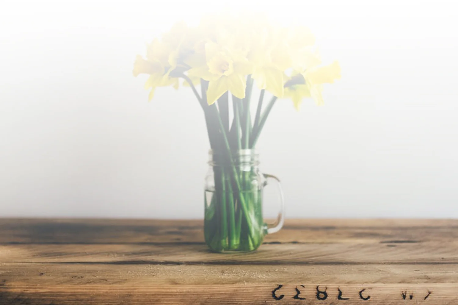 banner_blog copy.jpg
