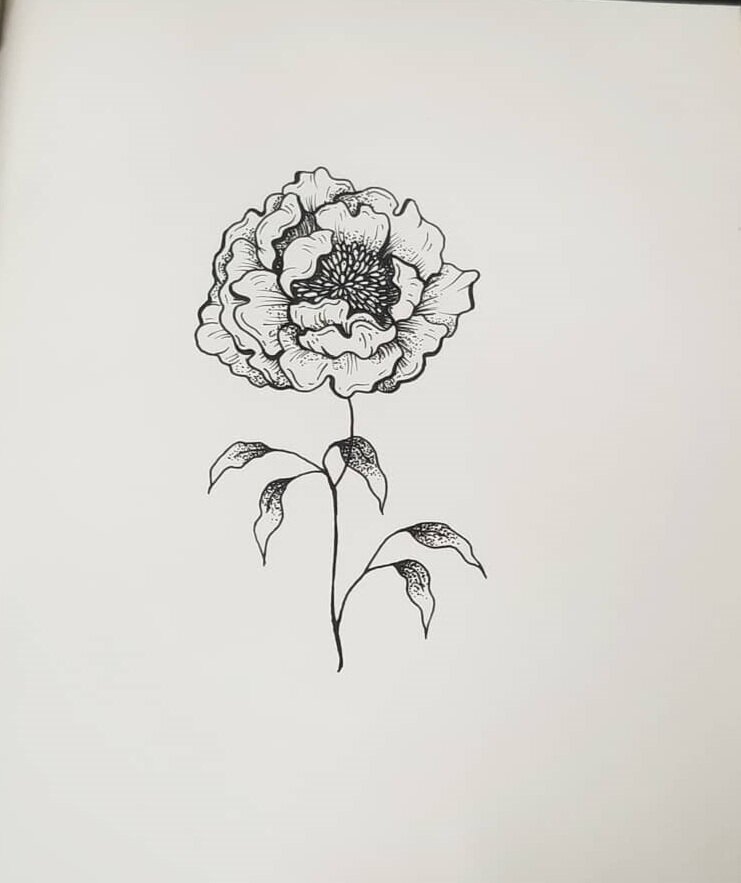 Peony+Drawing.jpg