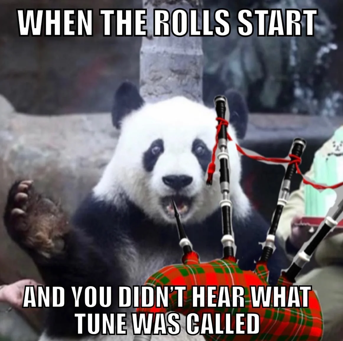 #parades #pipebandlife