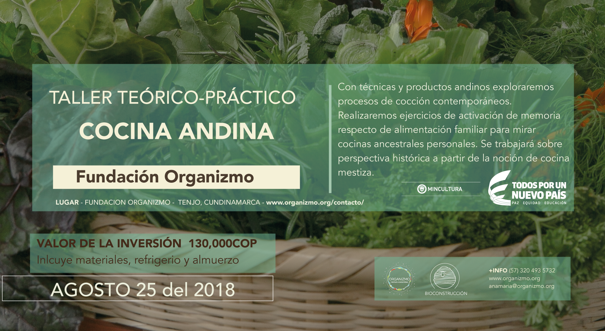 Imageens-talleres-bio-cocina.png