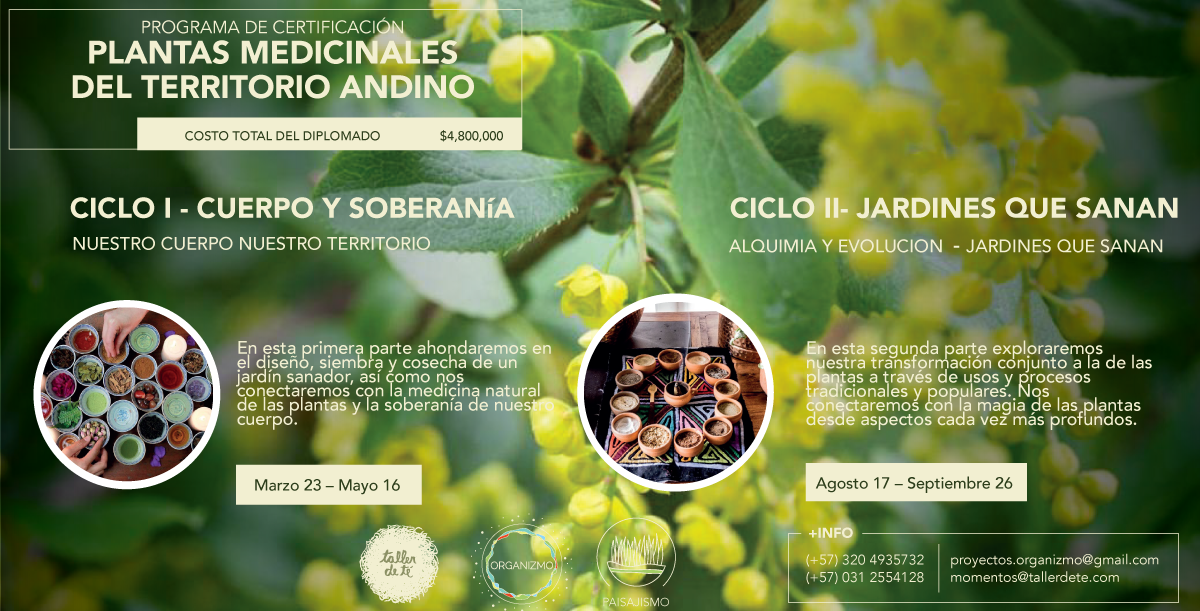 PLANTAS-MEDICINALES-III.png