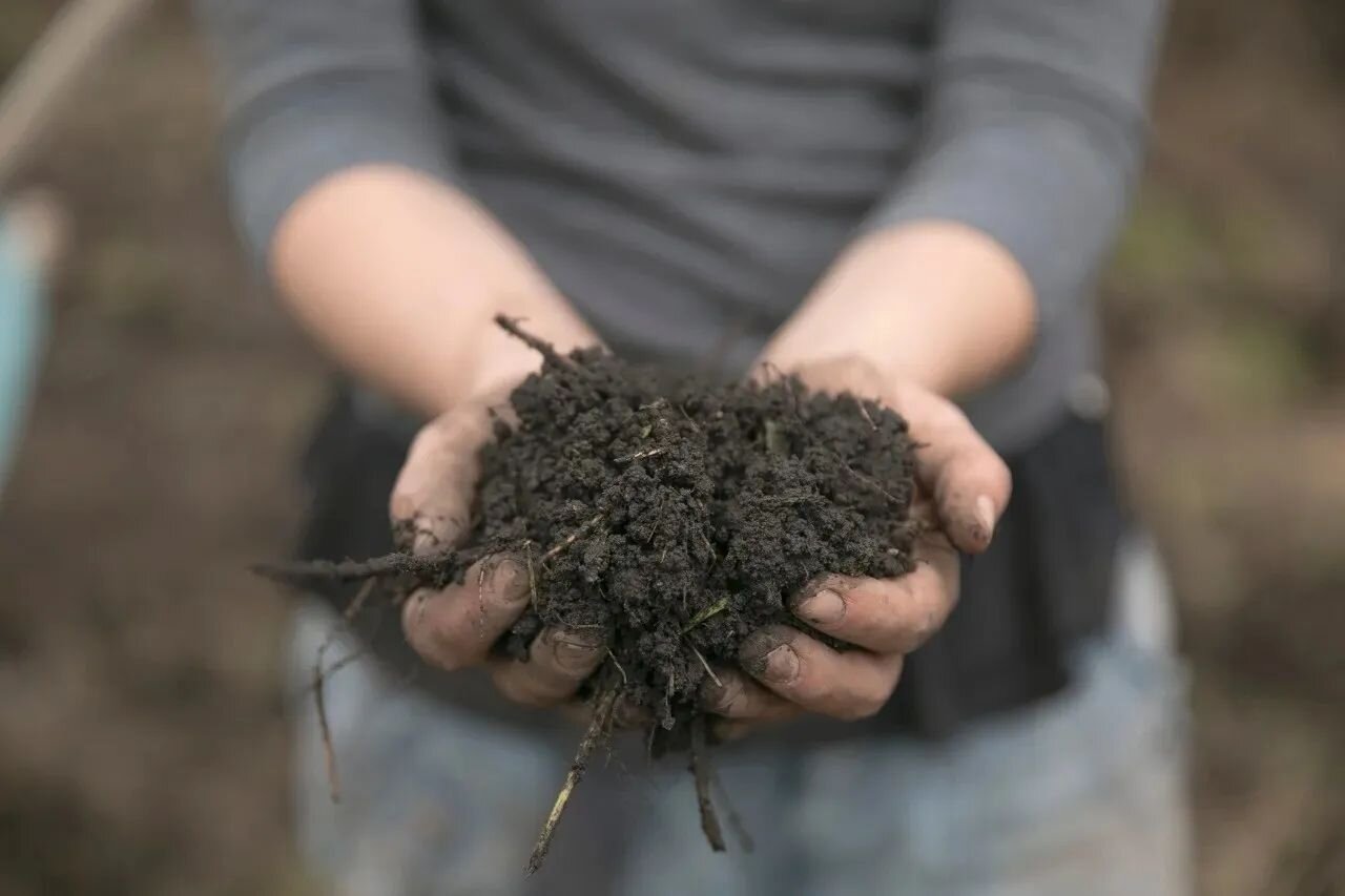Feliz d&iacute;a  TIERRA DE TODOS 
Gracias por tanto !
Perd&oacute;n por tan poco.
Don&acute;t lose faith in us, we are starting to listen.