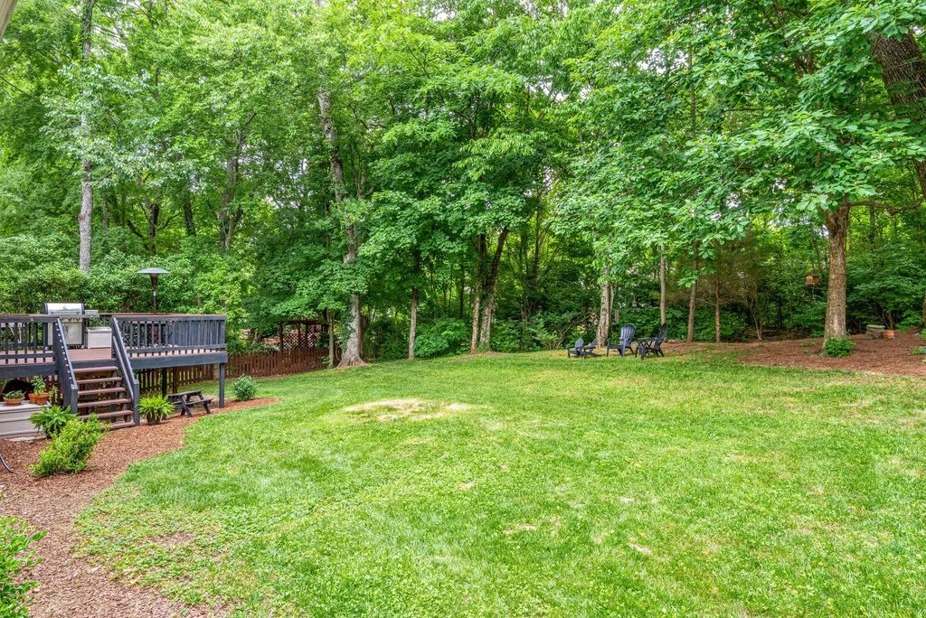 backyard after 4.jpg