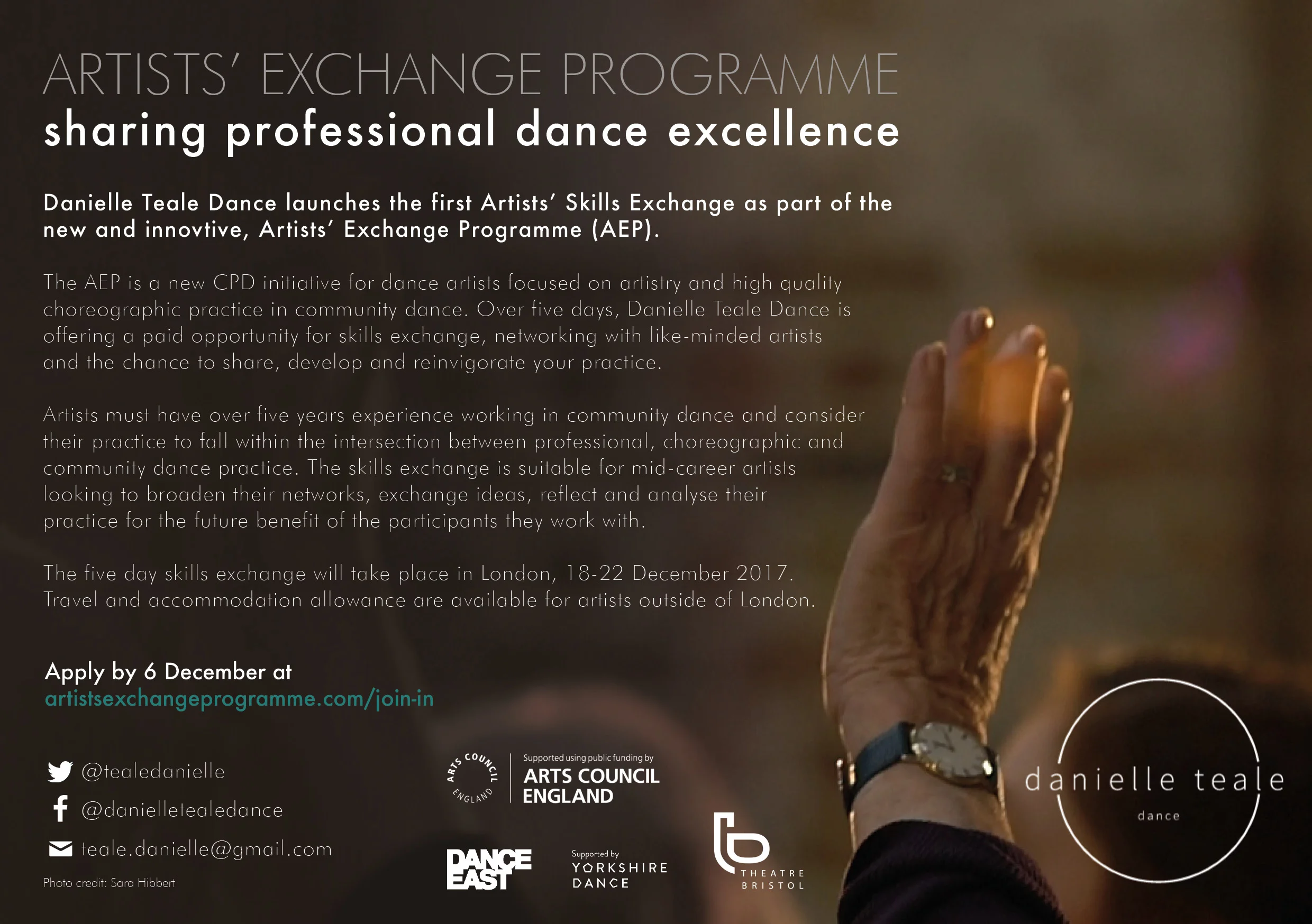 DTD AEP Artist Recruitment 2.jpg