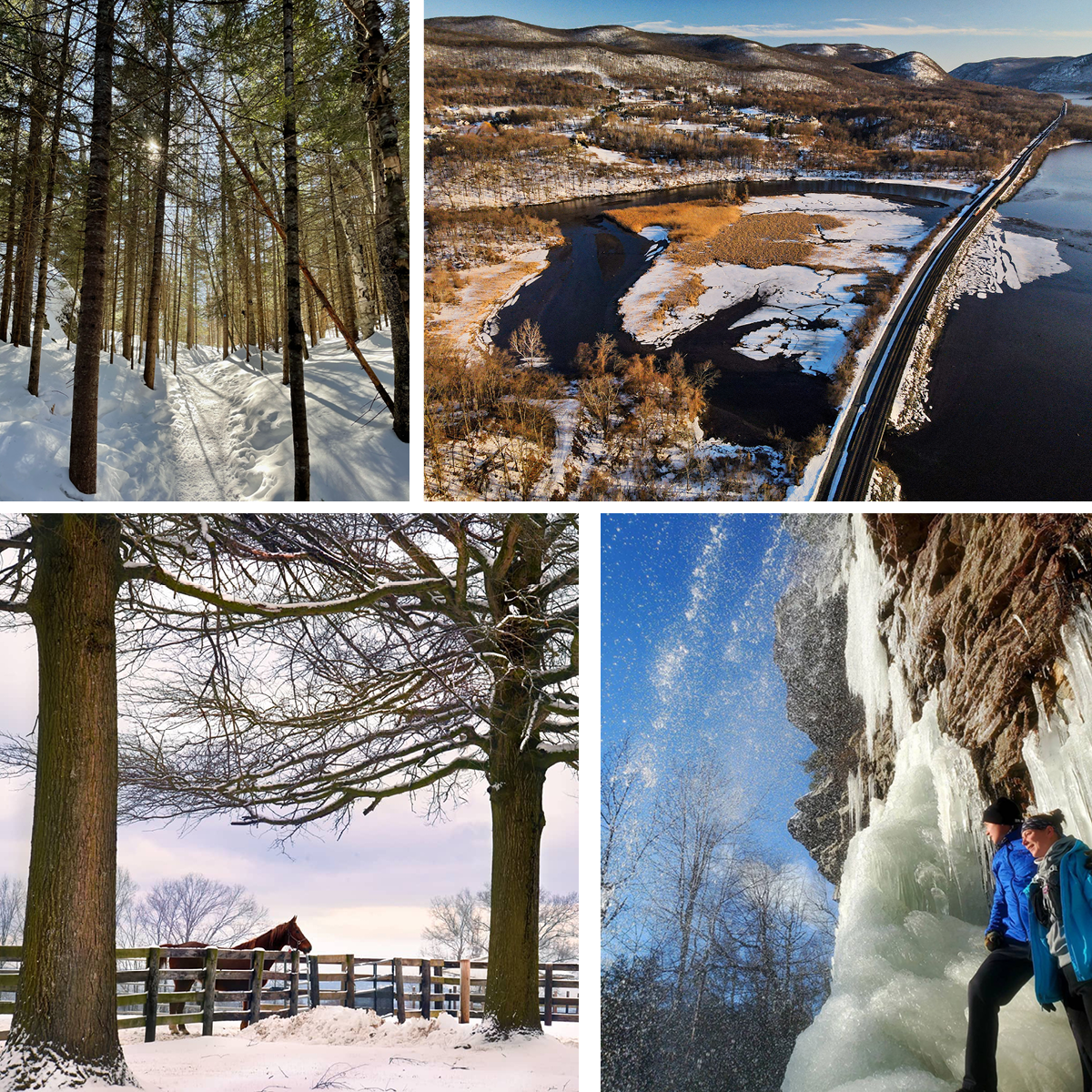 VOTE! 2021 HVNY Winter Photo Contest