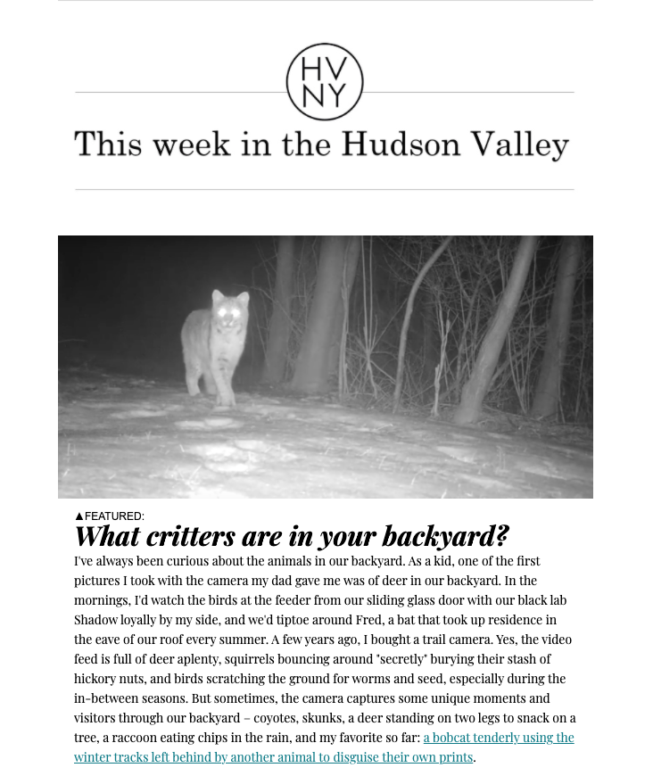 This week in the Hudson Valley (February 25, 2019)