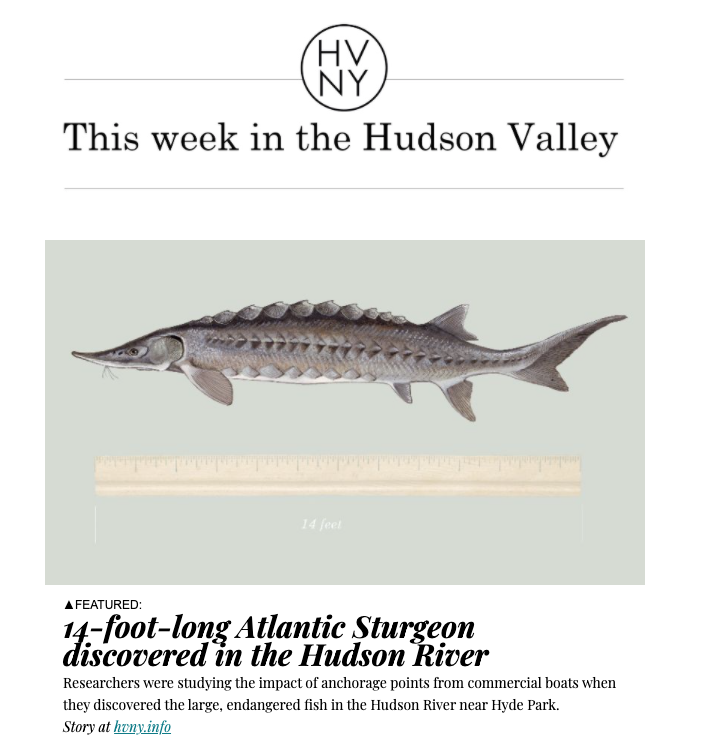 This week in the Hudson Valley (March 11, 2019)