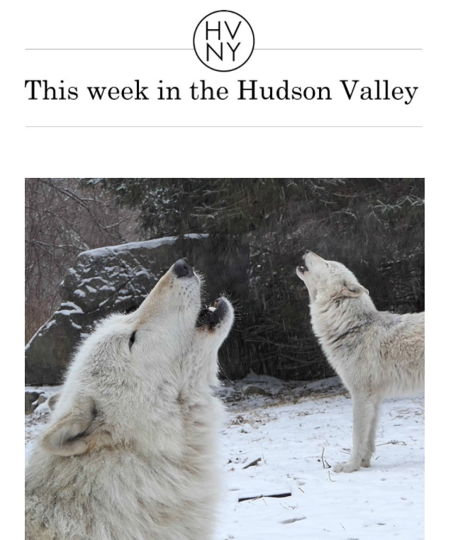 This week in the Hudson Valley (January 6, 2020)