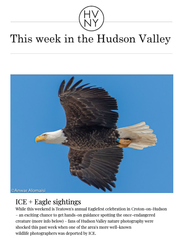 This week in the Hudson Valley (February 3, 2020)