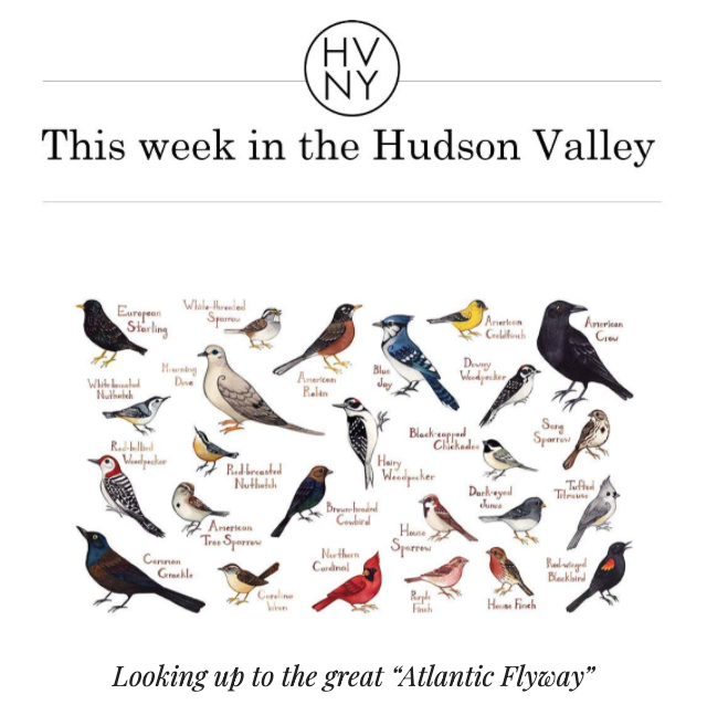 This week in the Hudson Valley (April 6, 2020)