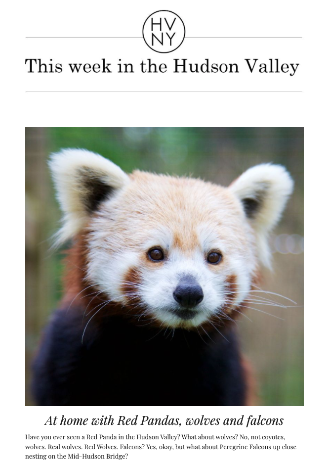 This week in the Hudson Valley (April 20, 2020)