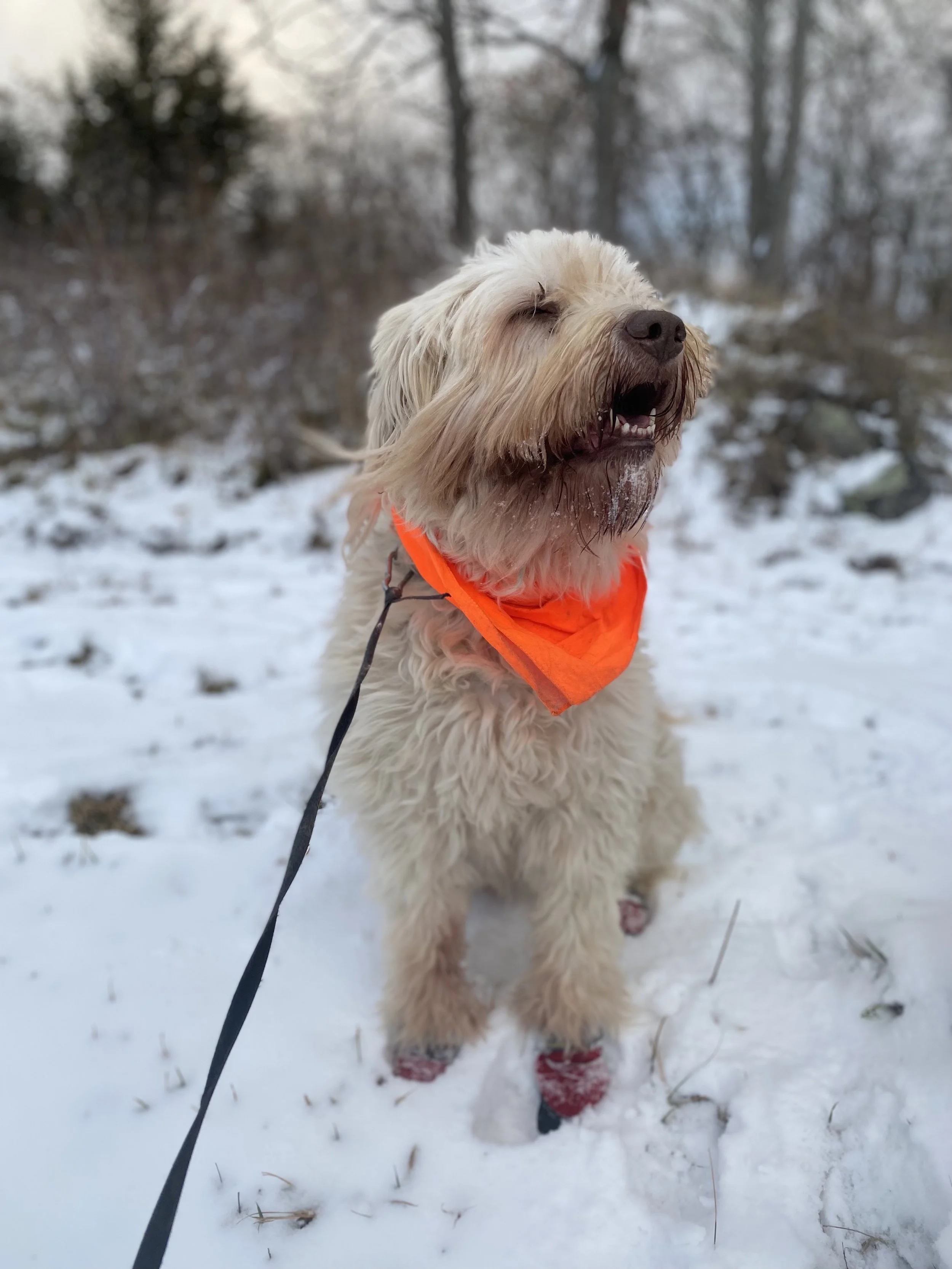 Tips for Hunters + Hikers