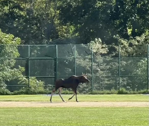 HVNY News + Notes (9/25/23)