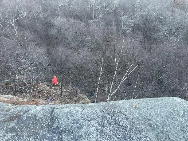 HVNY News + Notes (1/8/24)