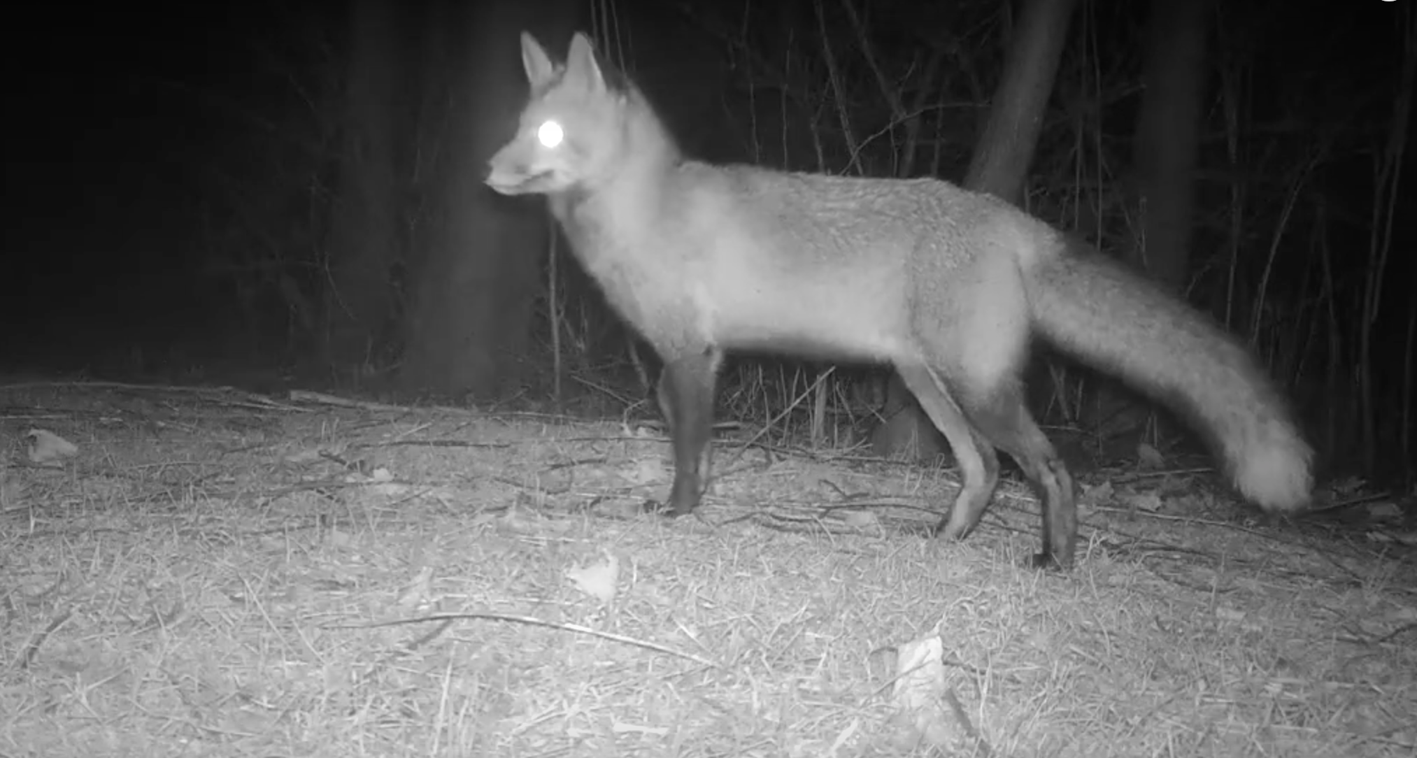 HVNY News + Notes (1/22/24)