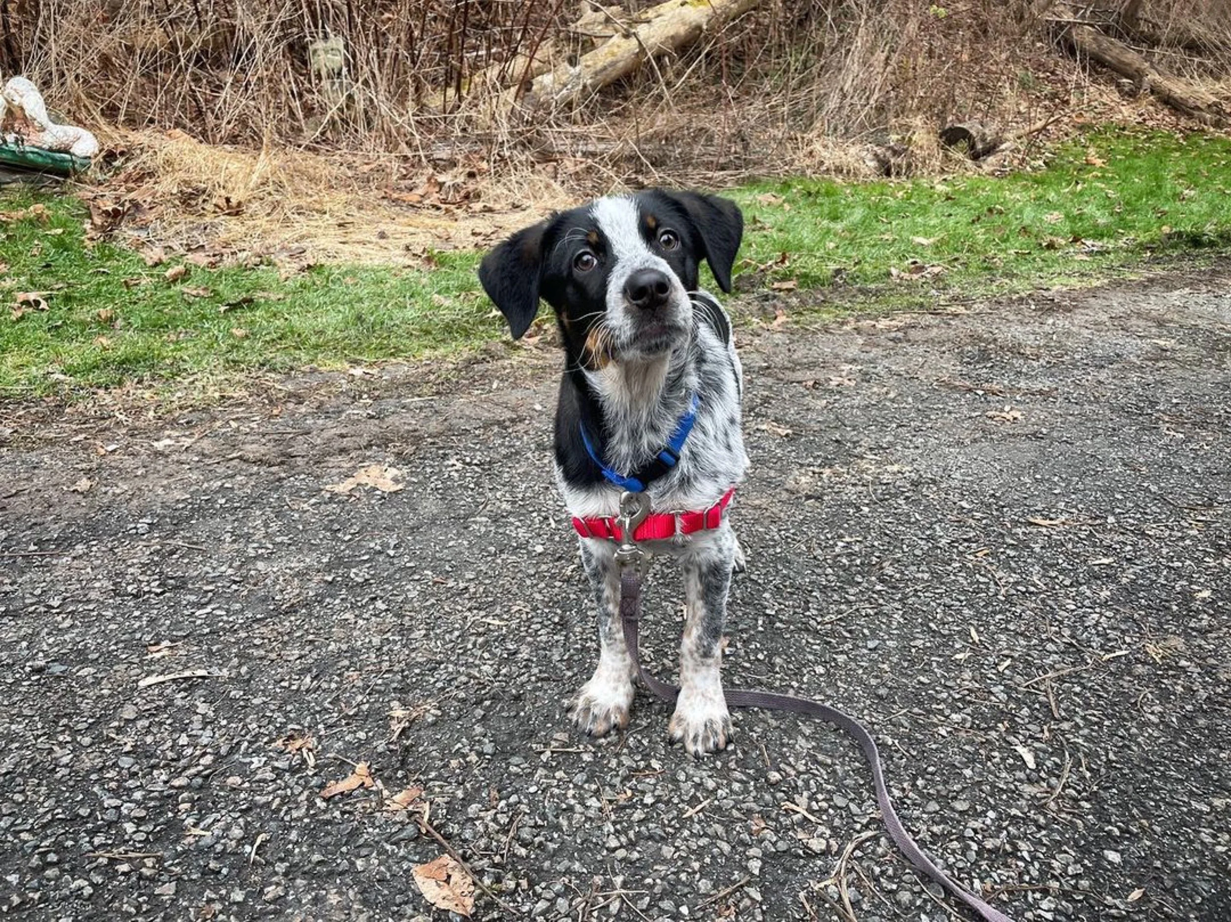 HVNY News + Notes (2/12/24)