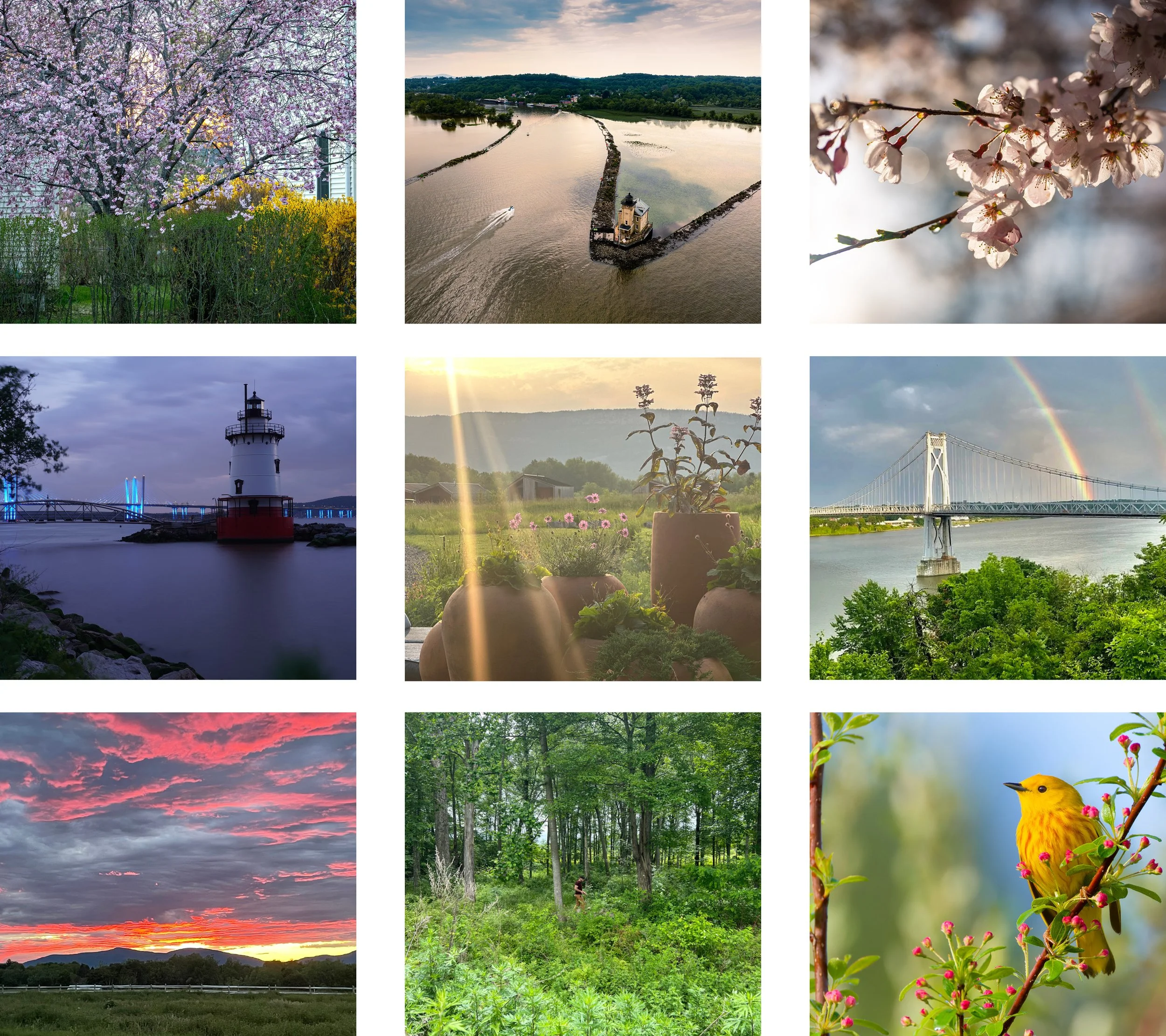VOTE: 2025 HVNY Spring Photo Contest