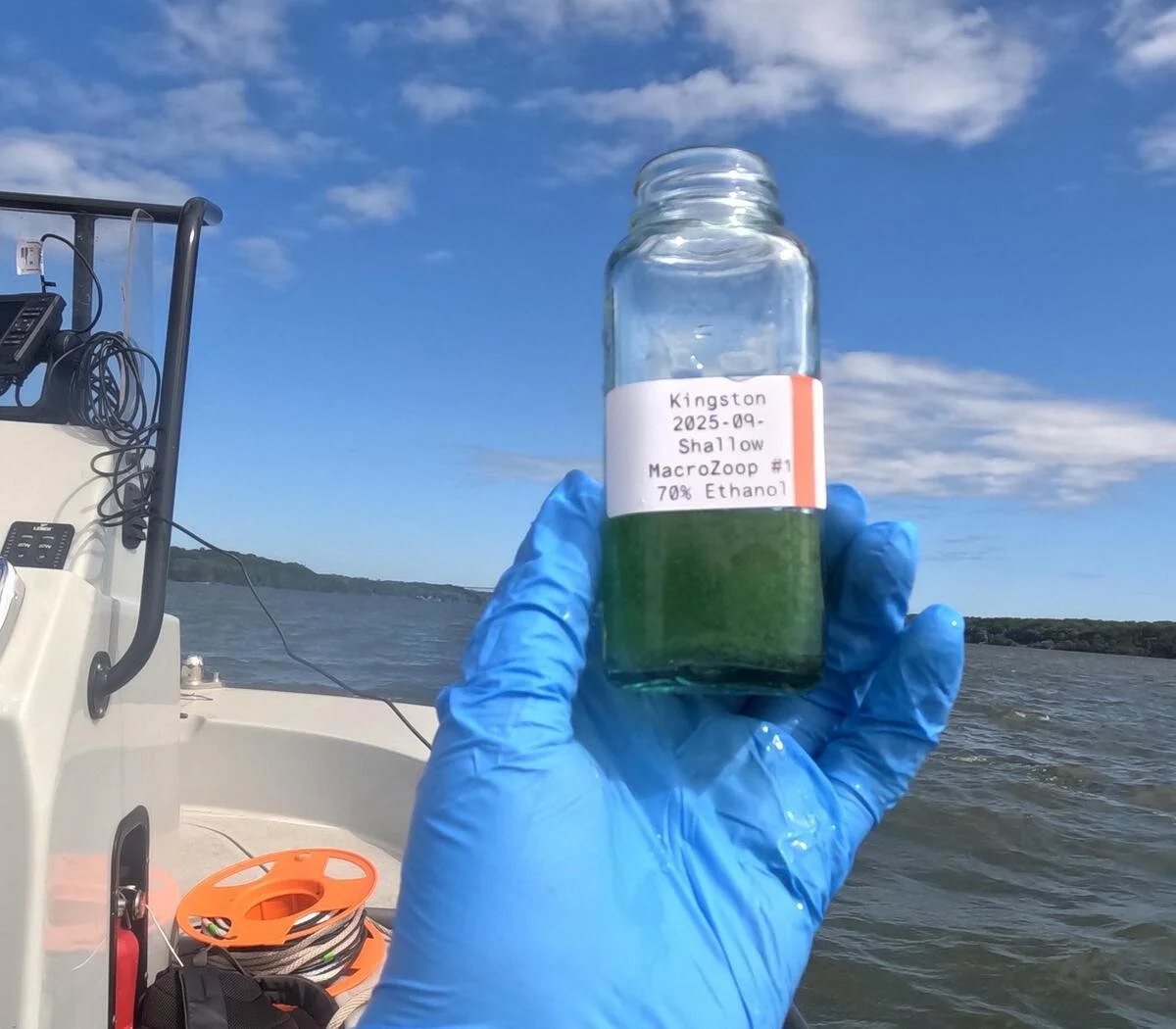 ‘Unprecedented’, harmful algal bloom affecting Hudson River in multiple locations