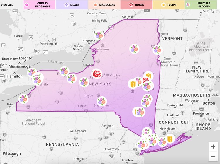 NYS Blooms Report 2026