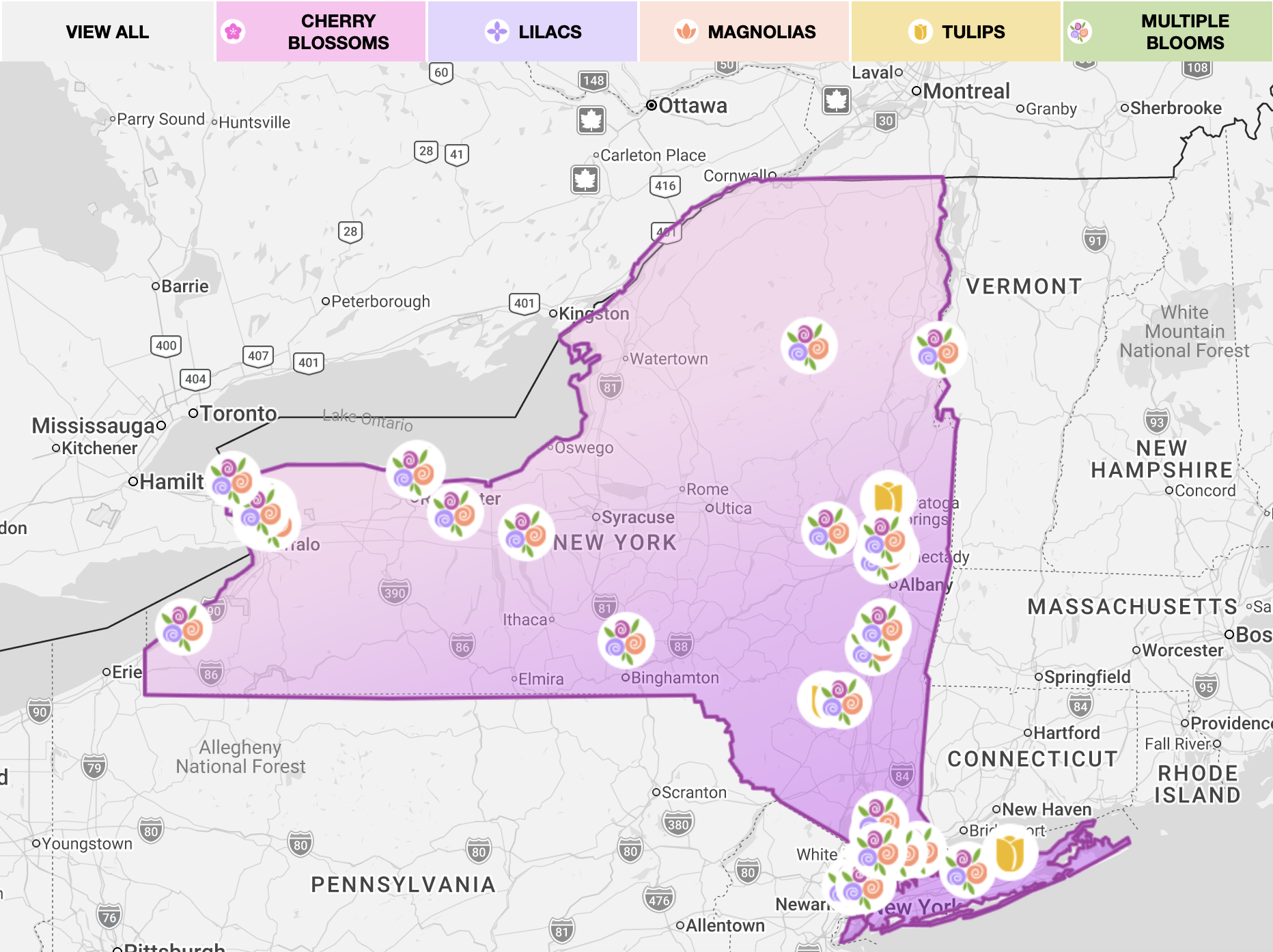 NYS Bloom Report 2026