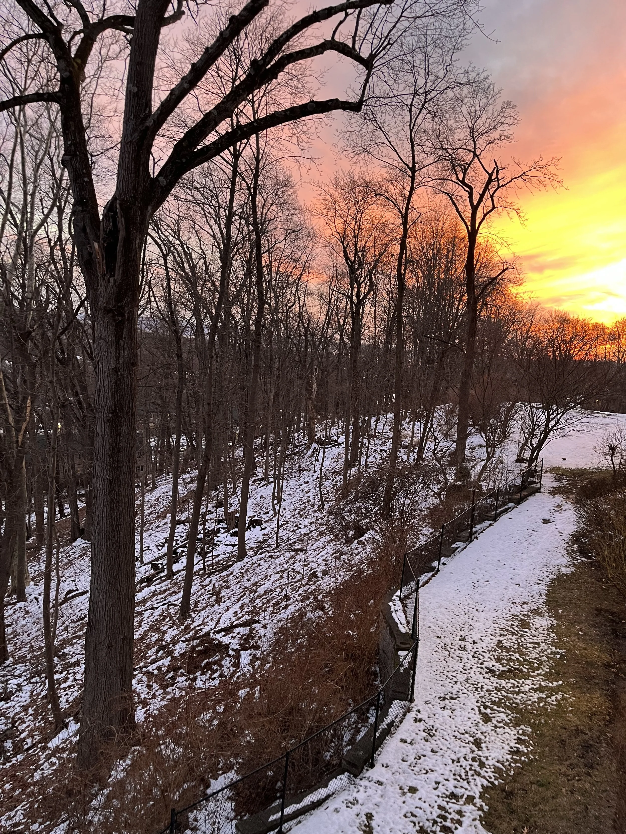 Annette Daly Tarrytown.jpeg