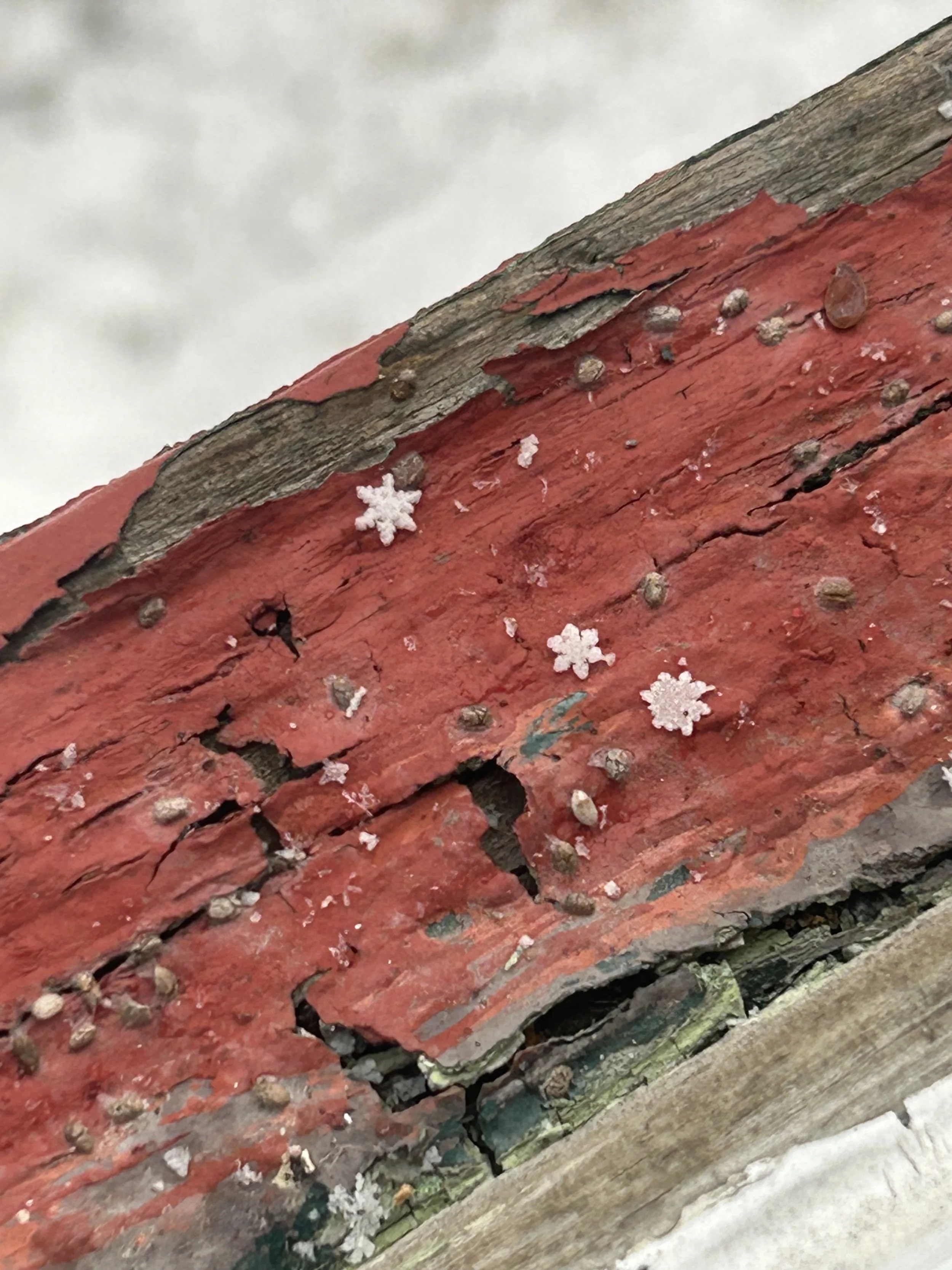 Christopher Mendez.jpeg