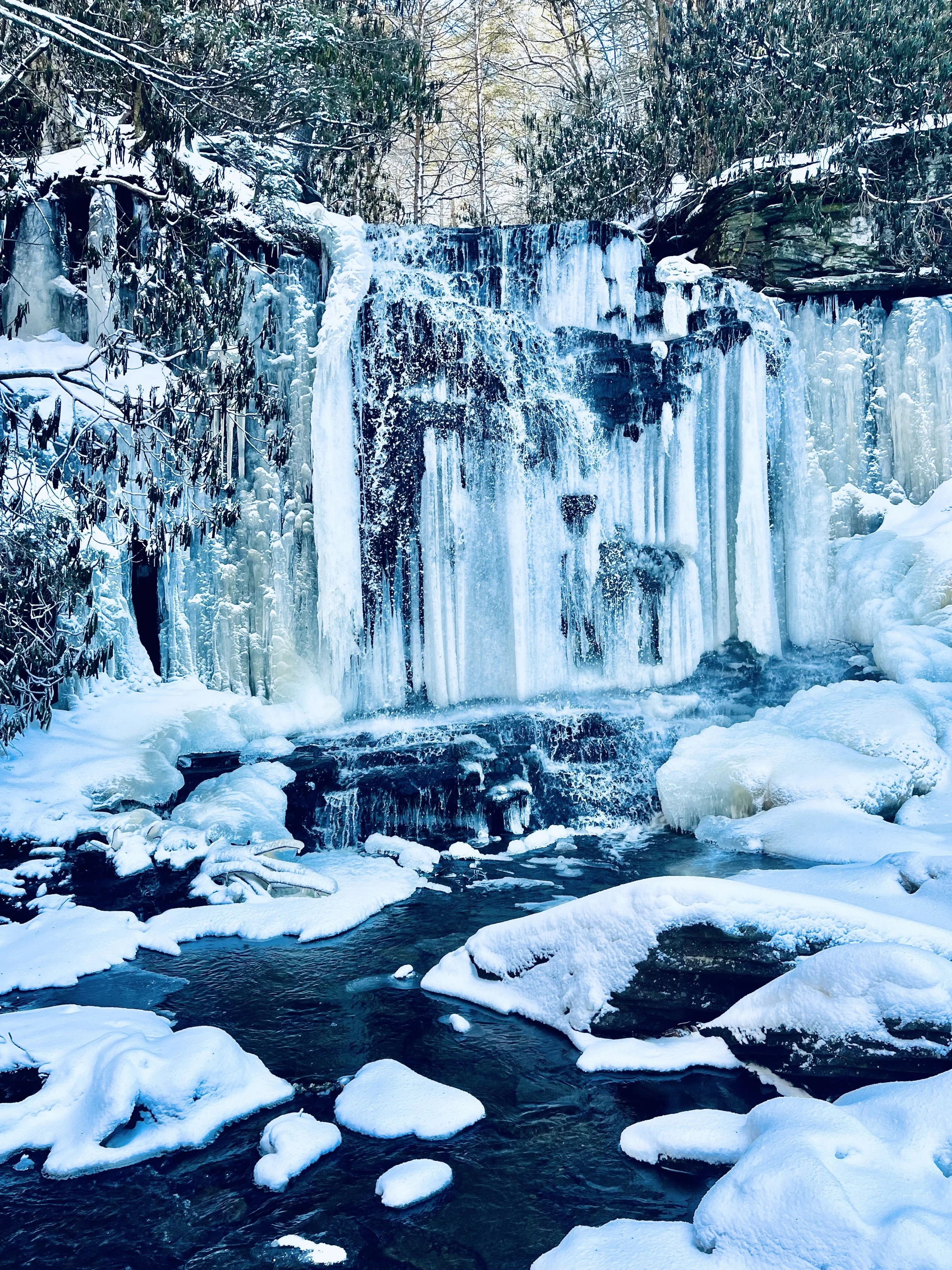 Emily Perez Neversink Unique Area.jpeg