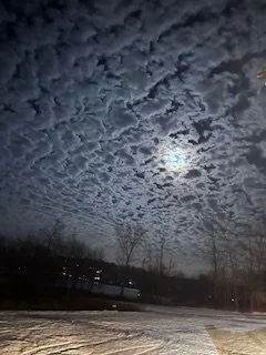 Jenny McCormack.jpeg