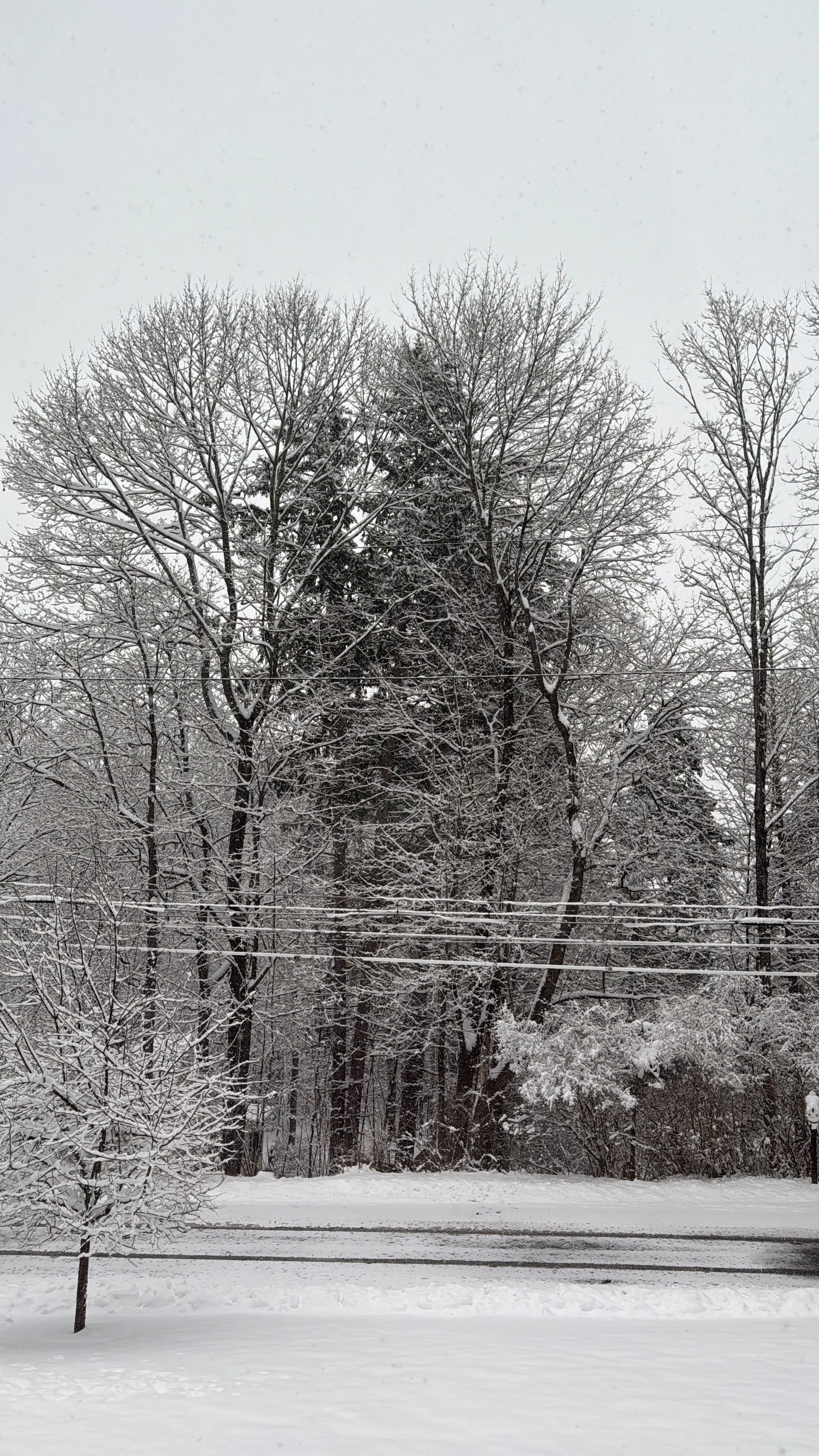 Jessica Rodriguez Poughkeepsie.jpeg