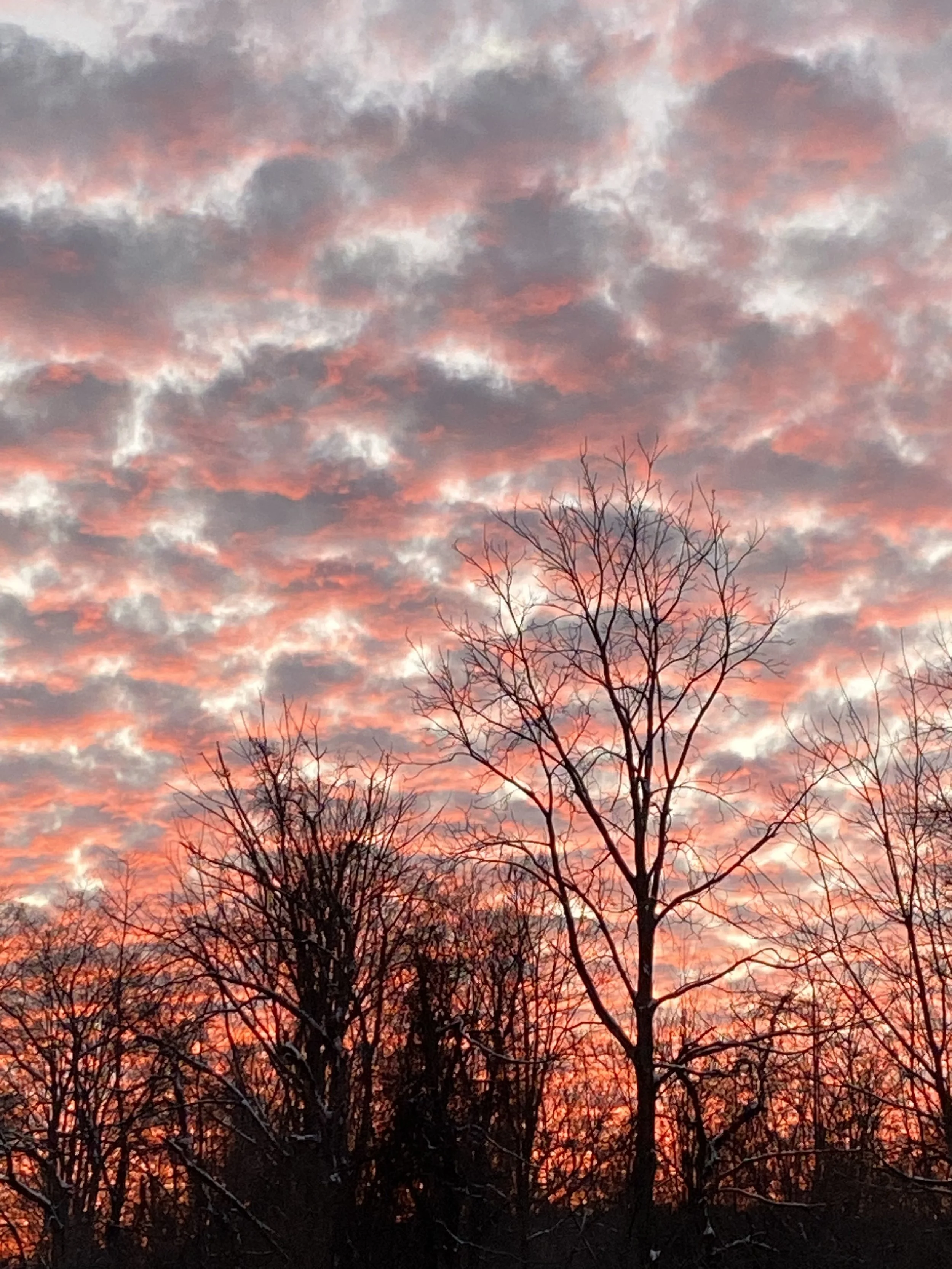 Nancy McCormack Poughkeepsie.jpeg