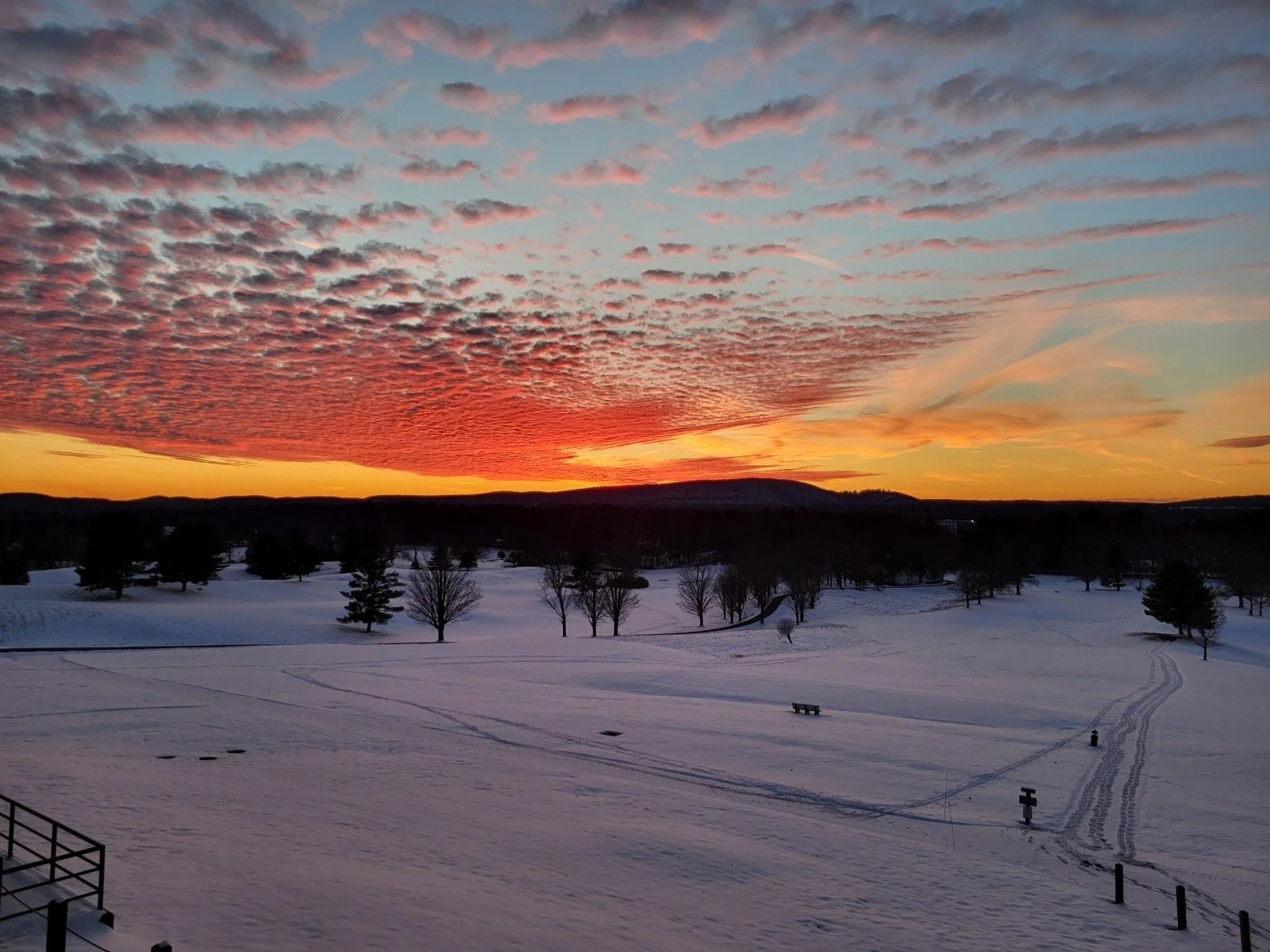 Tammy Giancarlo Dinsmore Golf Course.JPG