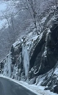 Terry Sue Volpe Route 218.jpeg