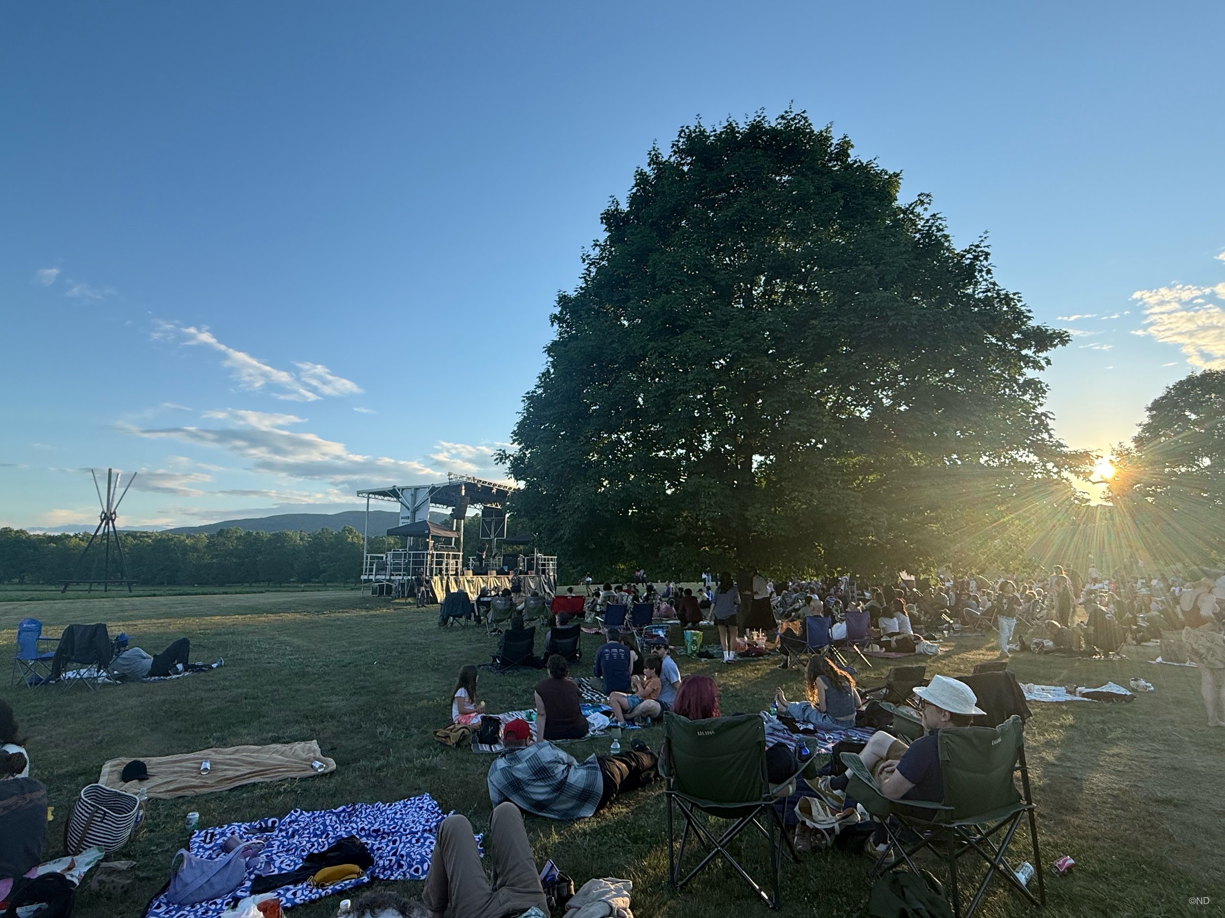 Storm King Kim Gordon HVNY 1.JPG