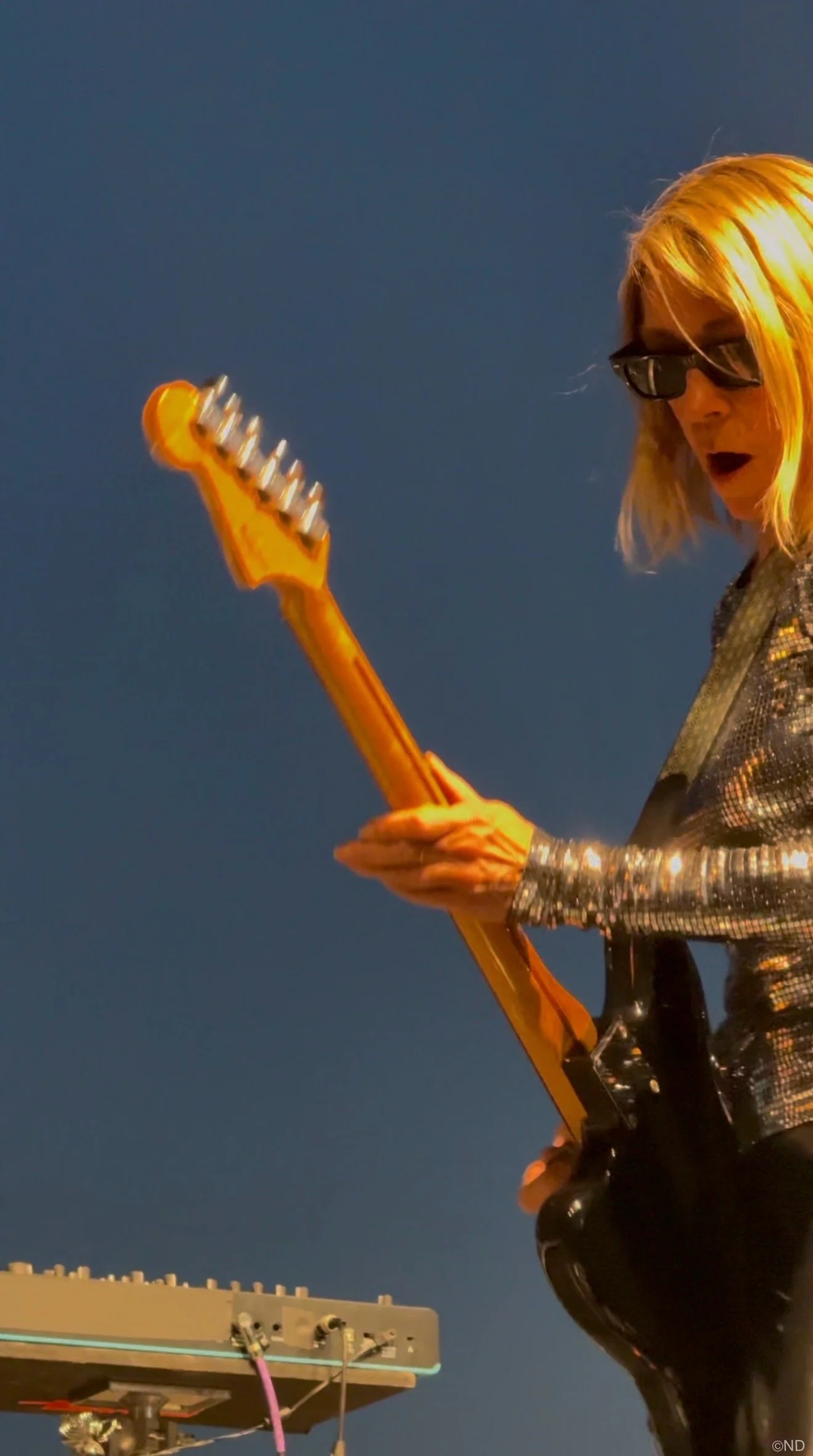 Storm King Kim Gordon HVNY 4.JPG