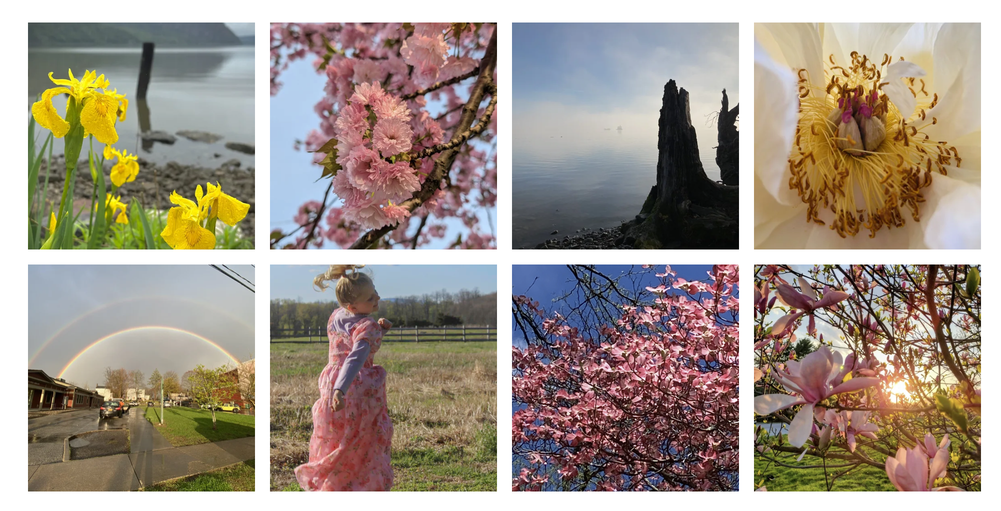 VOTE: 2026 HVNY Spring Photo Contest